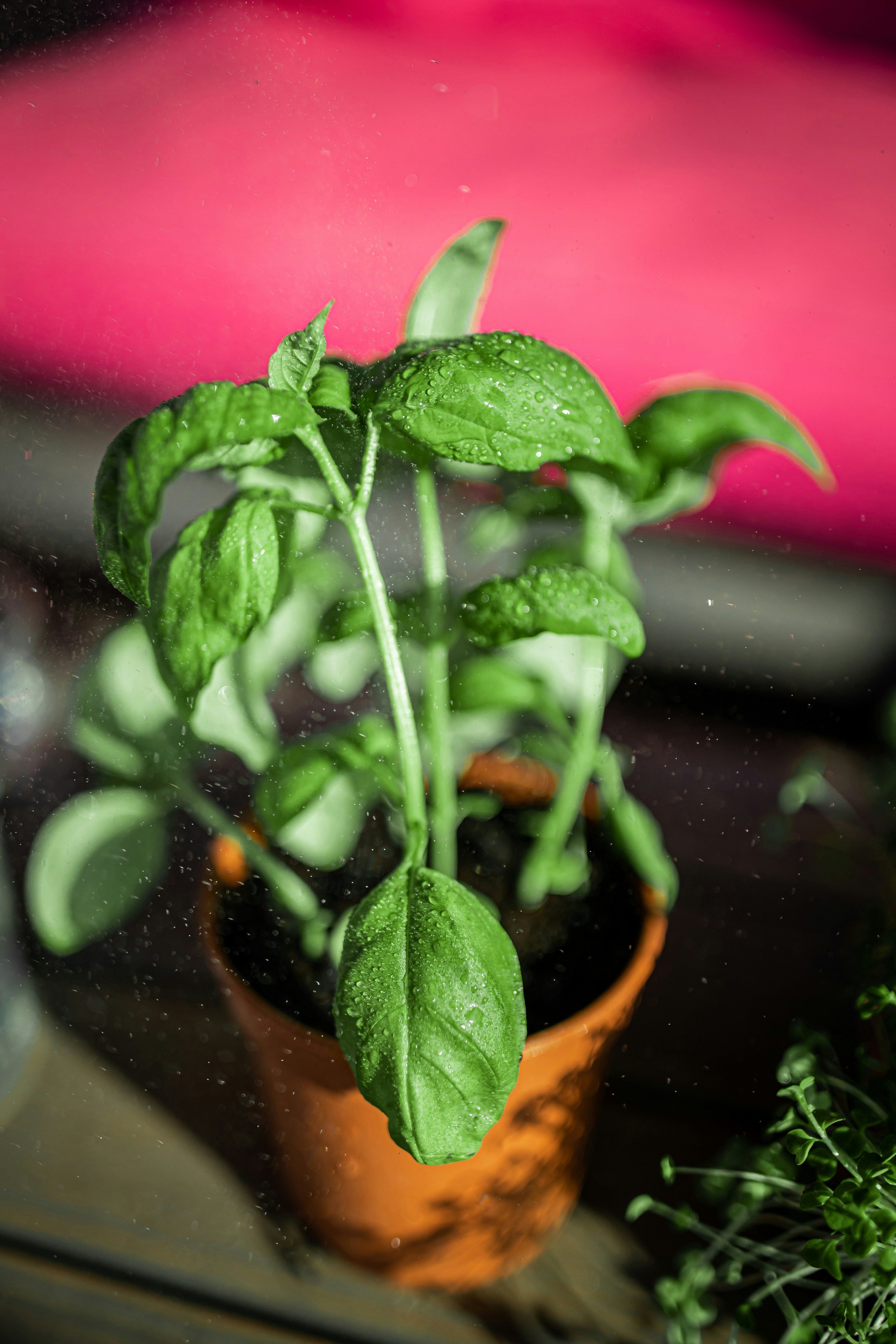 Photo by laganovskis