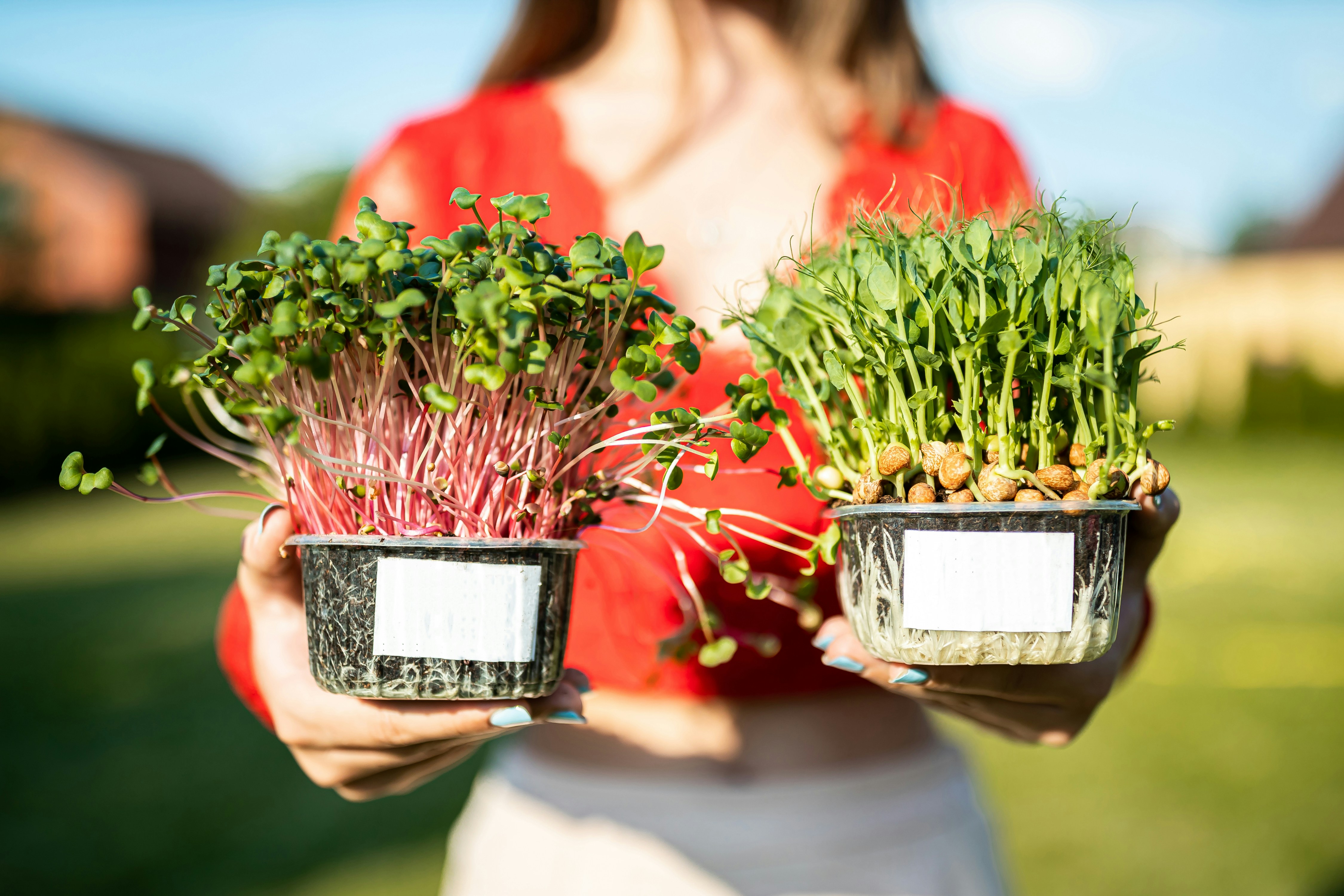 a person holding a plant