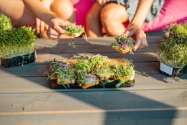A group of small toasts topped with fresh green microgreens is placed on a wooden outdoor table. Two people are actively reaching out to take pieces of toast, surrounded by trays of more microgreens. The setting suggests a casual, alfresco dining experience with a focus on fresh, healthy ingredients.