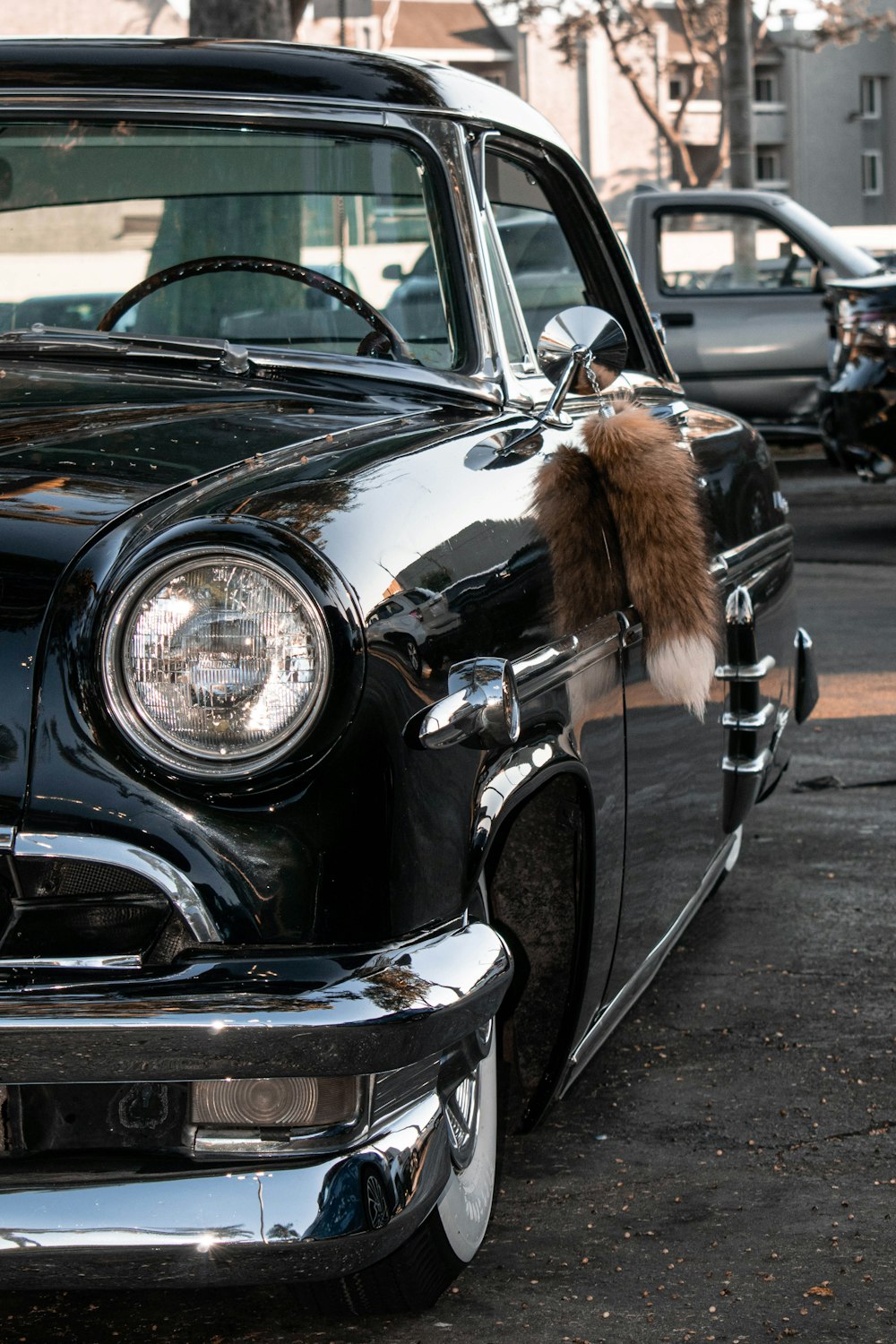 a squirrel on a car