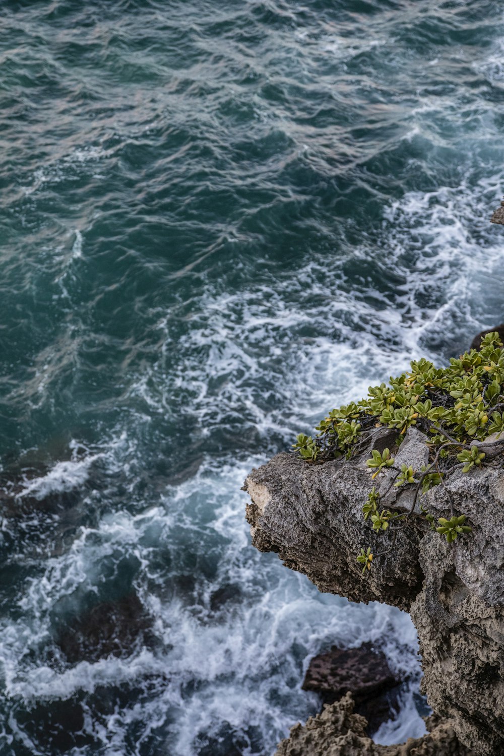 a body of water with rocks and plants on the side