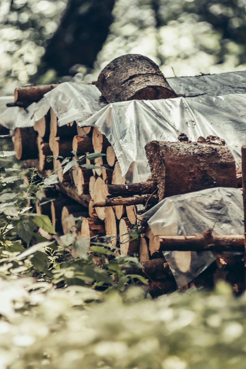 a pile of wood and leaves