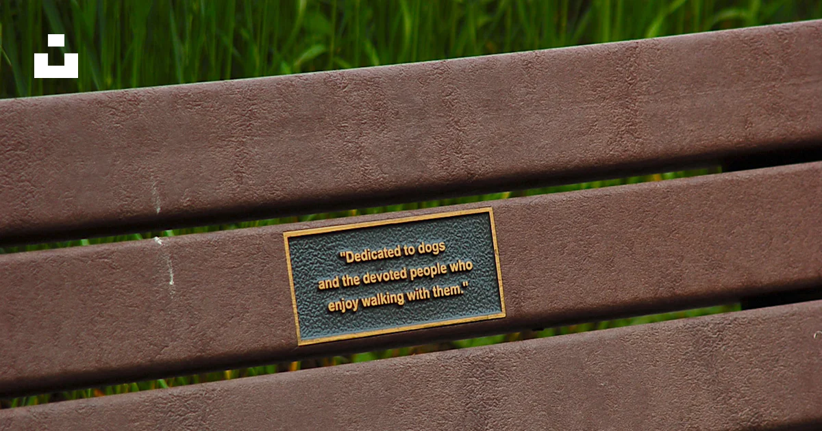 Bench Sitting Sign A sign on a bench photo – Free Furniture Image on Unsplash
