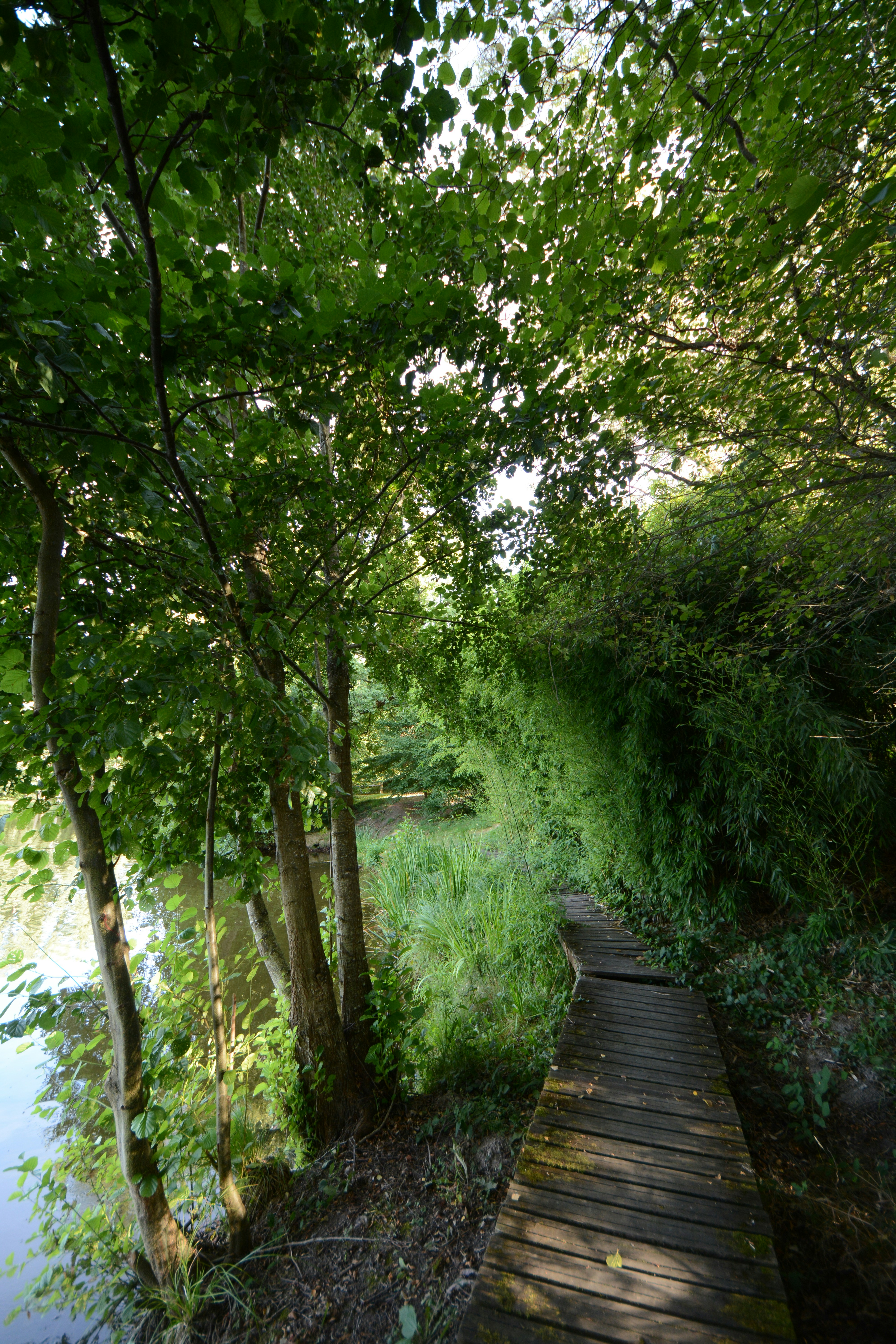 Photo by ashwinward18