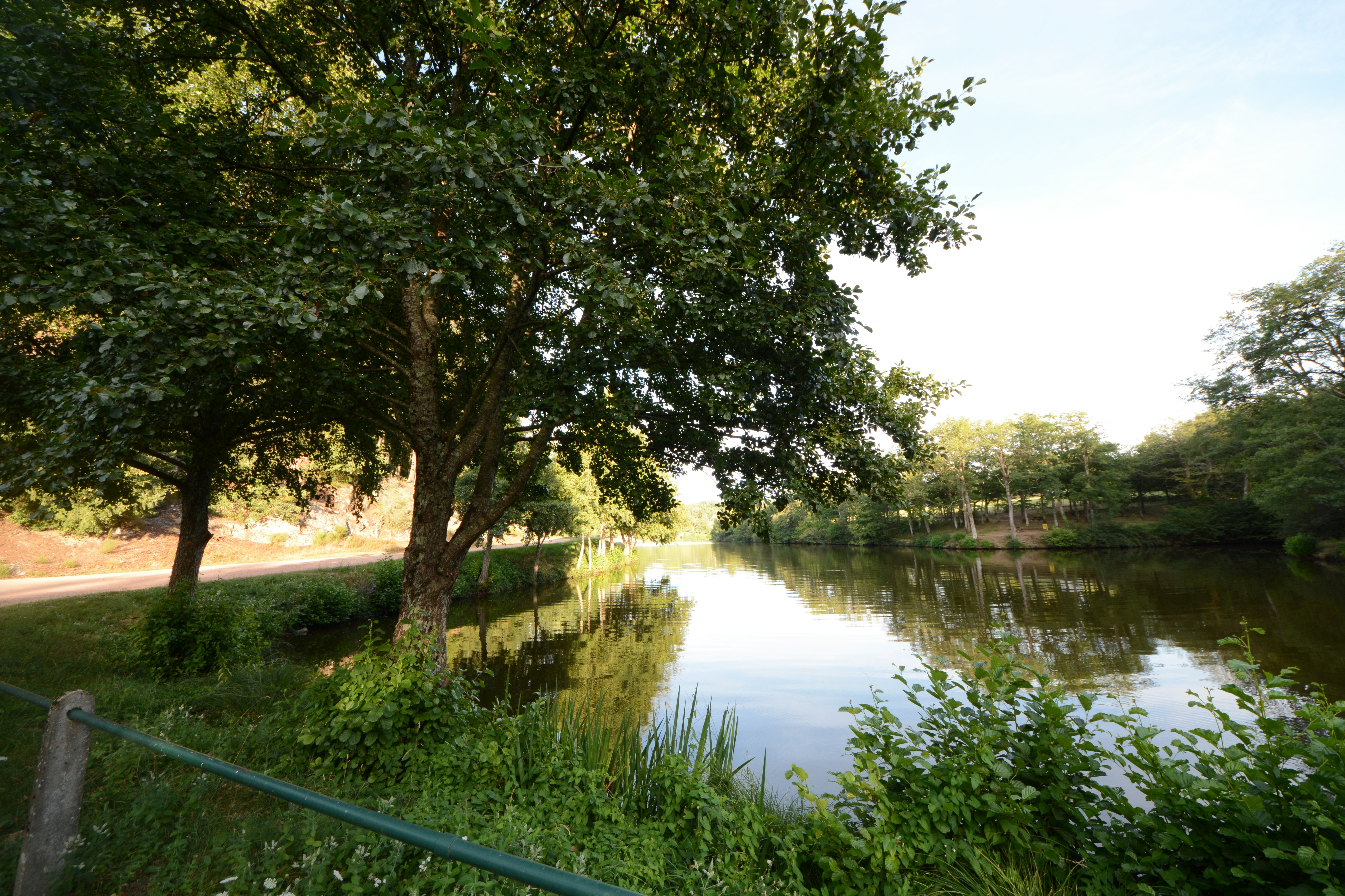 Photo by ashwinward18