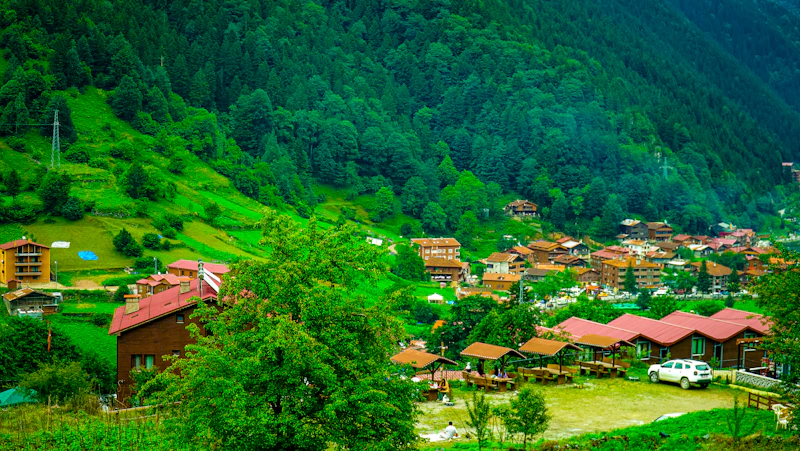 Best Quiet Cafes to Study in Trabzon Without Getting Kicked Out