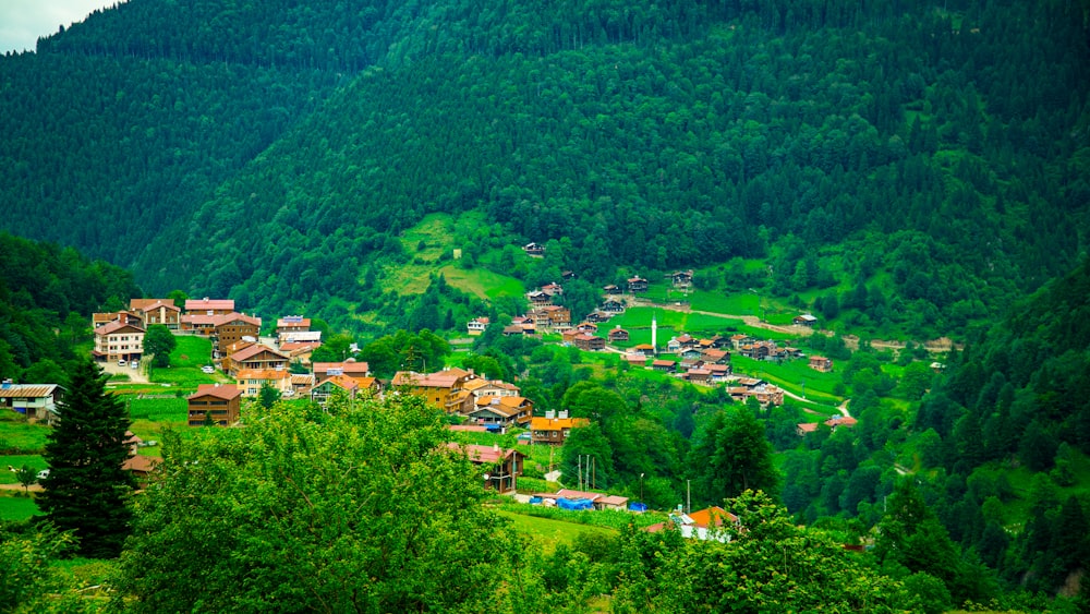 Un groupe de maisons dans une vallée