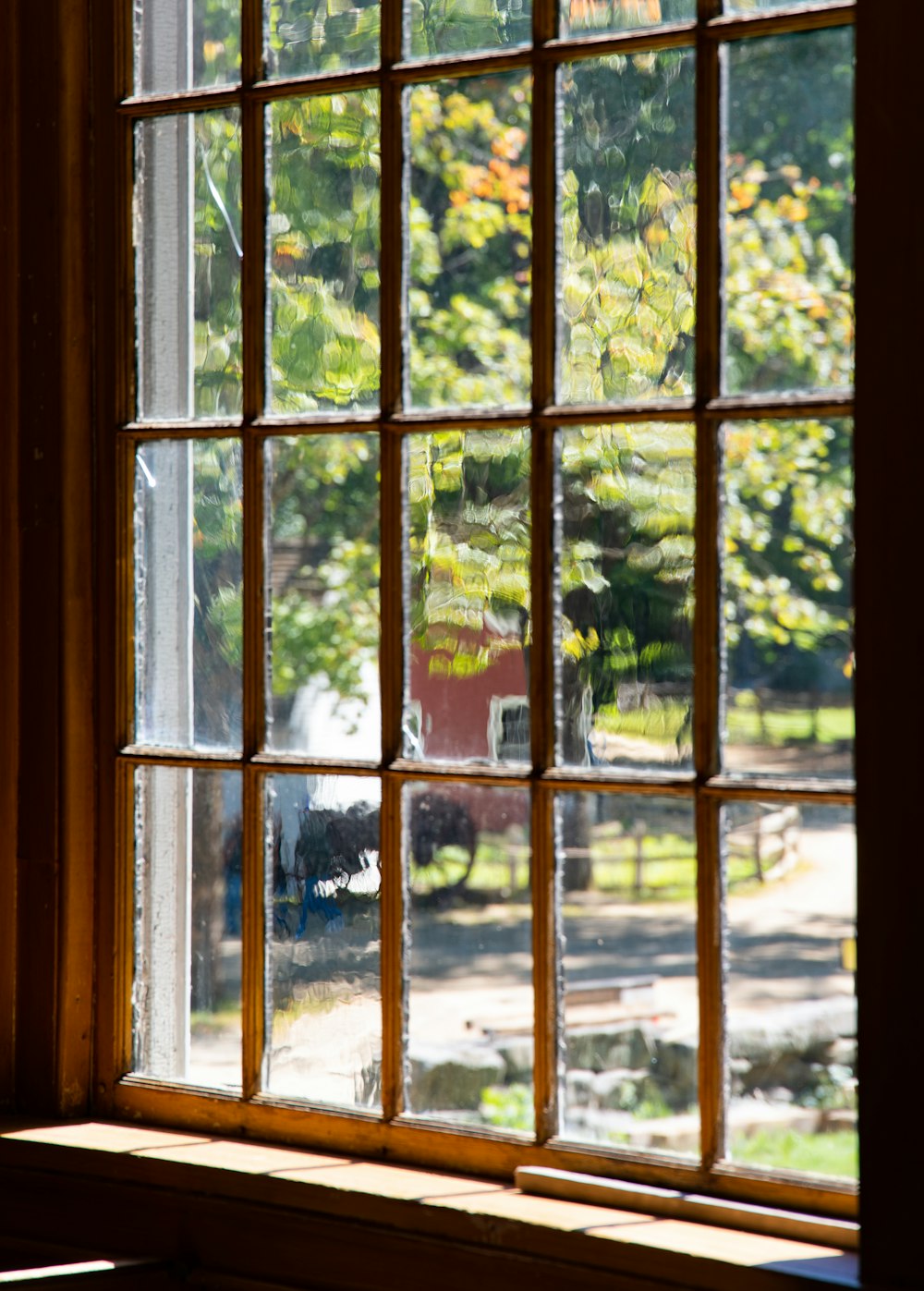 uma janela com vista para as árvores
