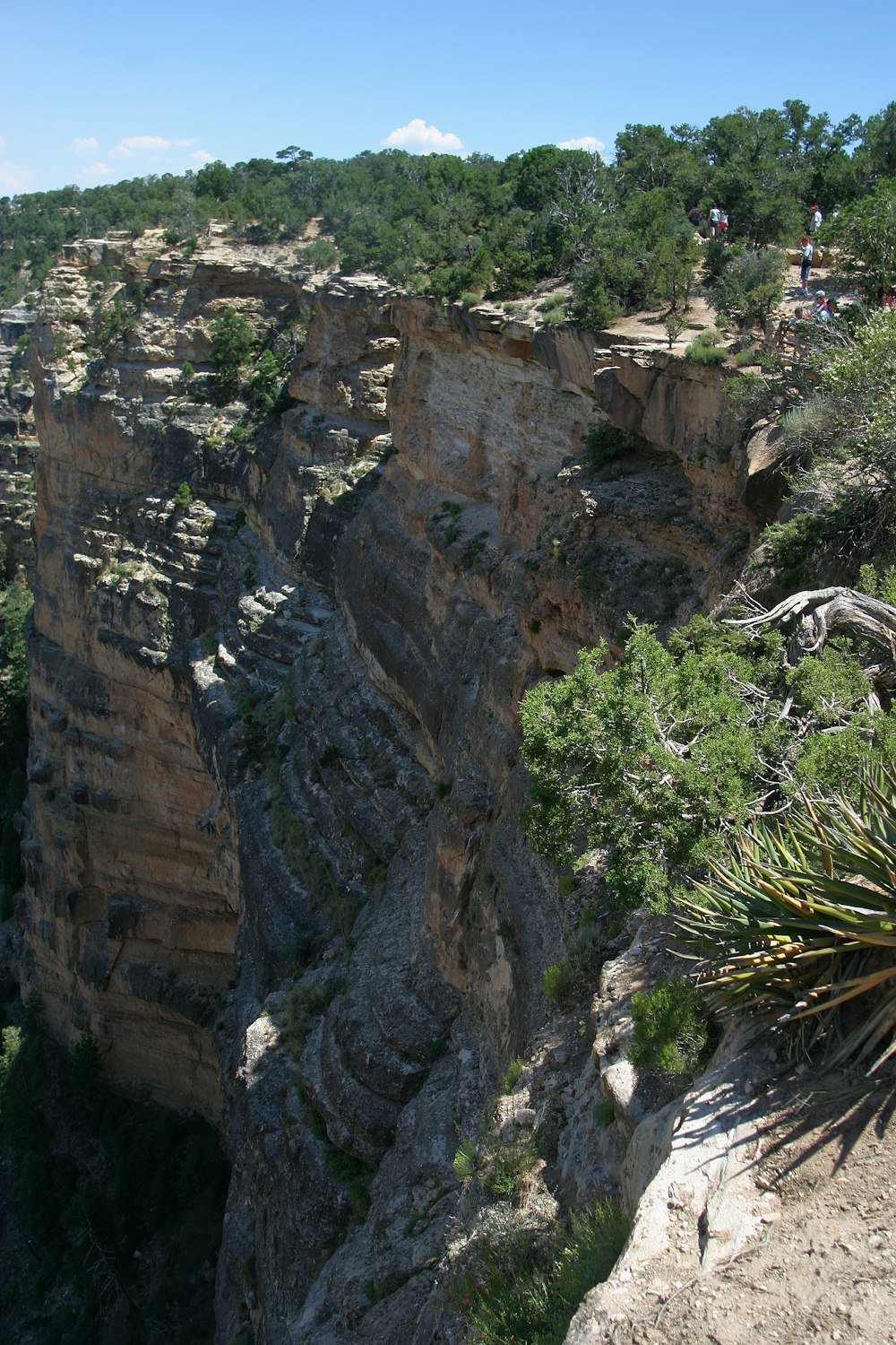 a cliff with people on it