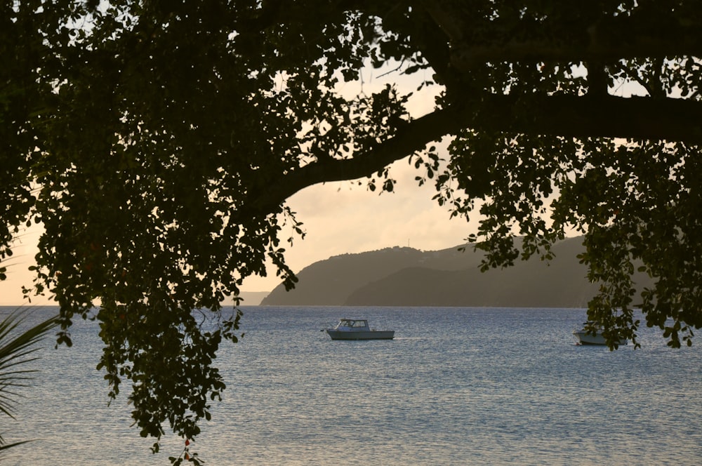 a boat on the water