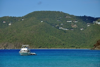 A serene view of Las Terrenas coastline with a small boat preparing for a whale watching tour.