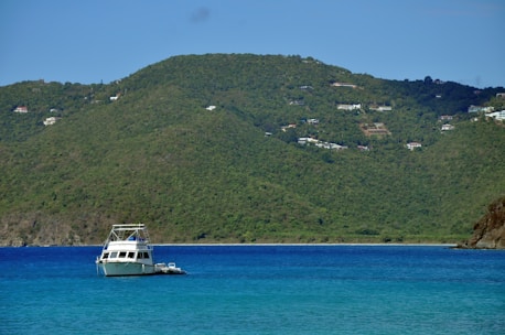 A serene view of Las Terrenas coastline with a small boat preparing for a whale watching tour.