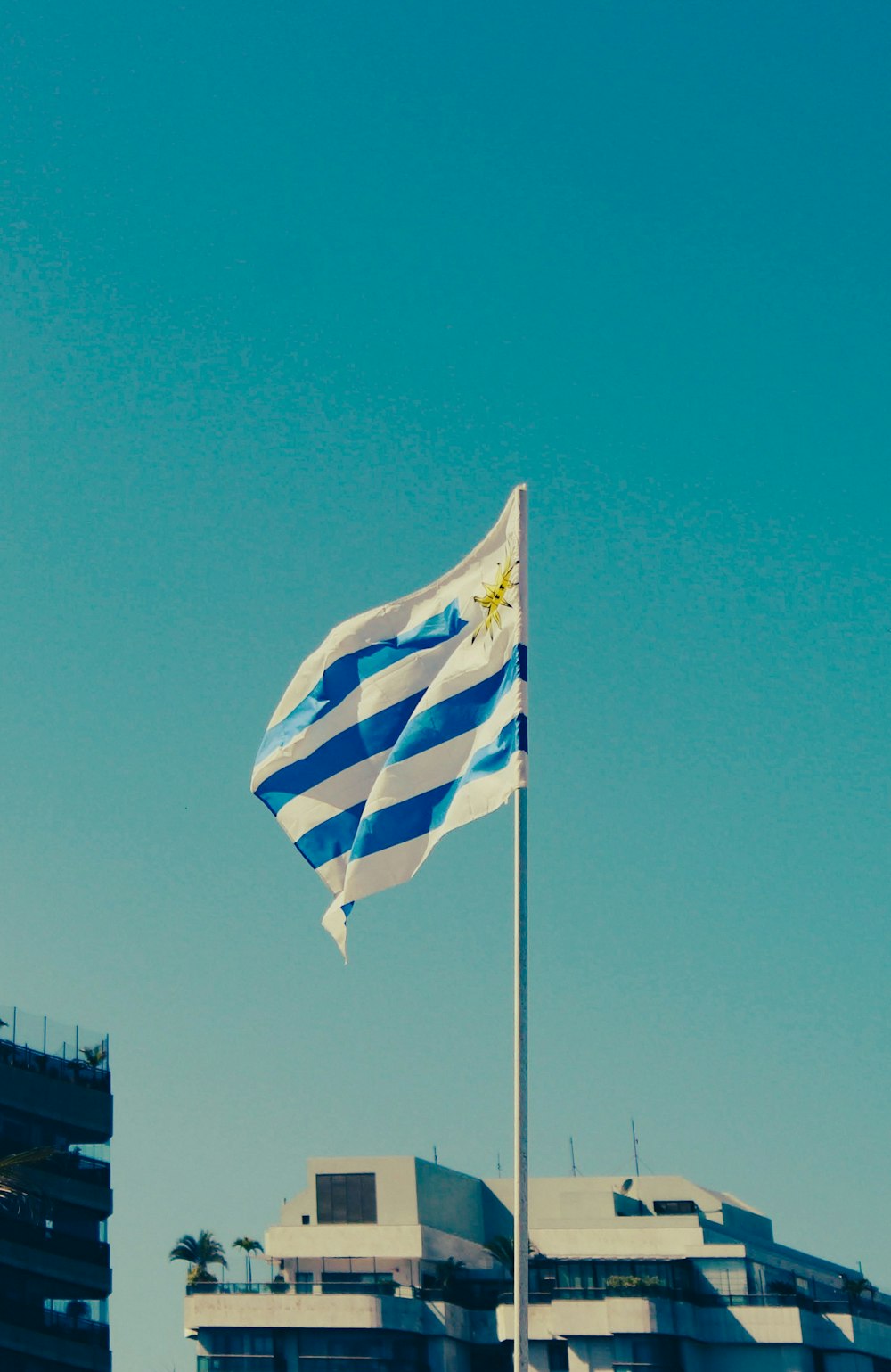 a flag on a pole