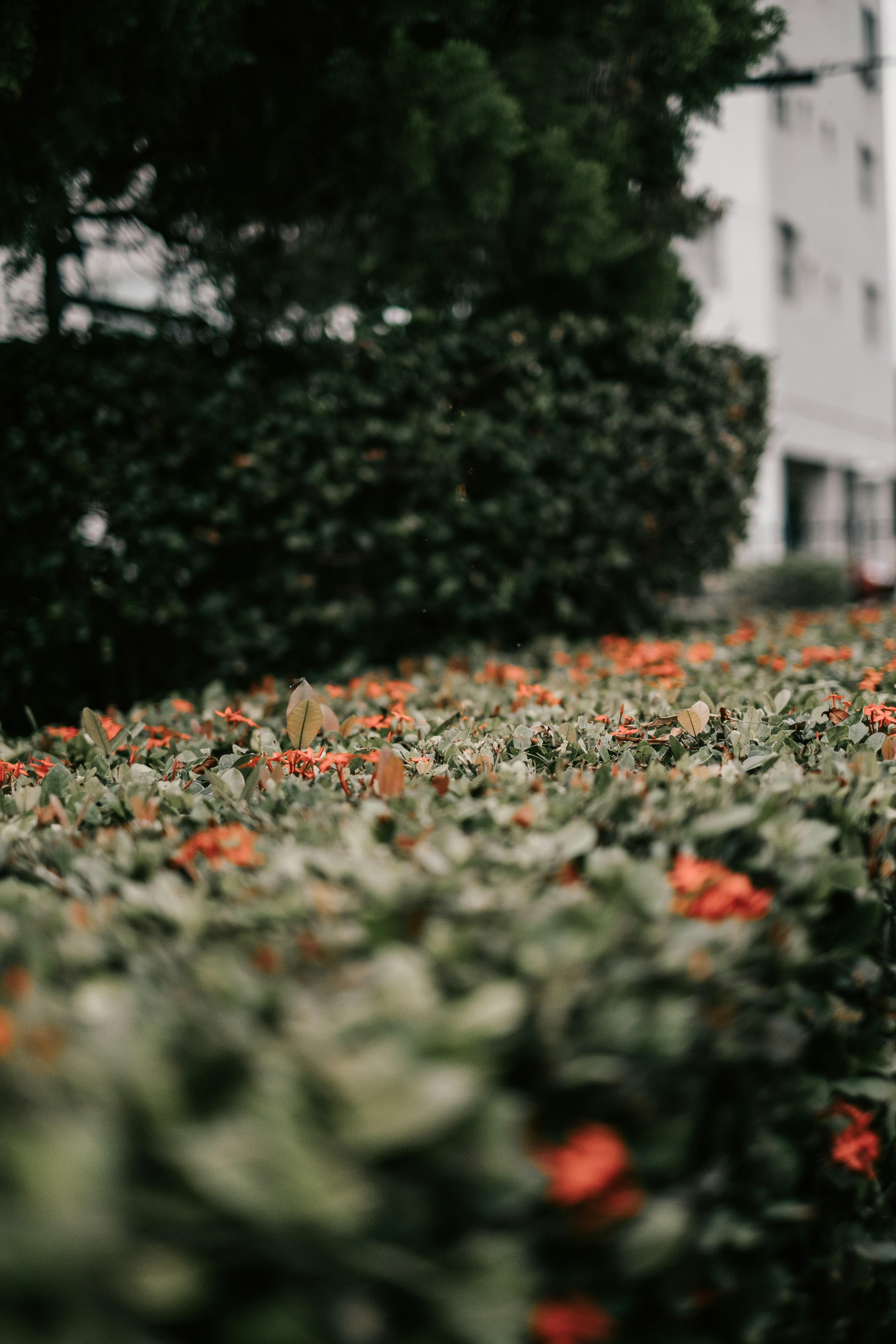 Photo by dillydallying