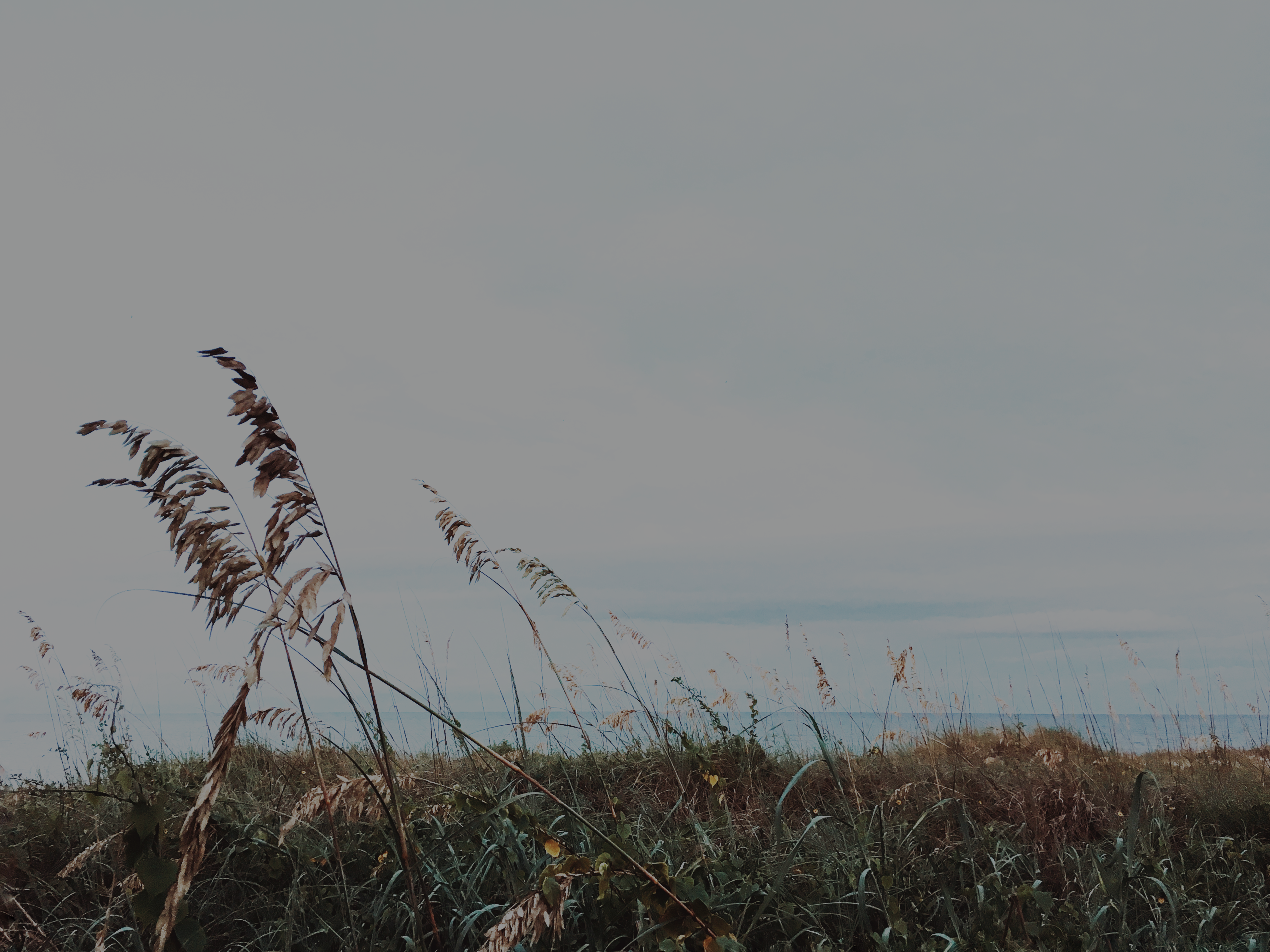 Photo by infiniteocean