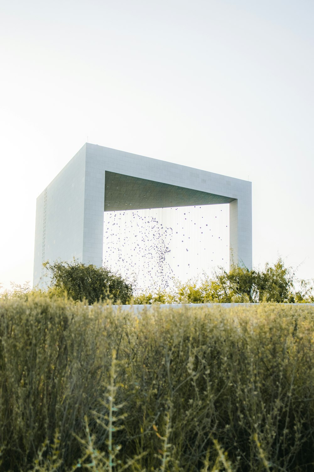 a large white building behind a field of plants