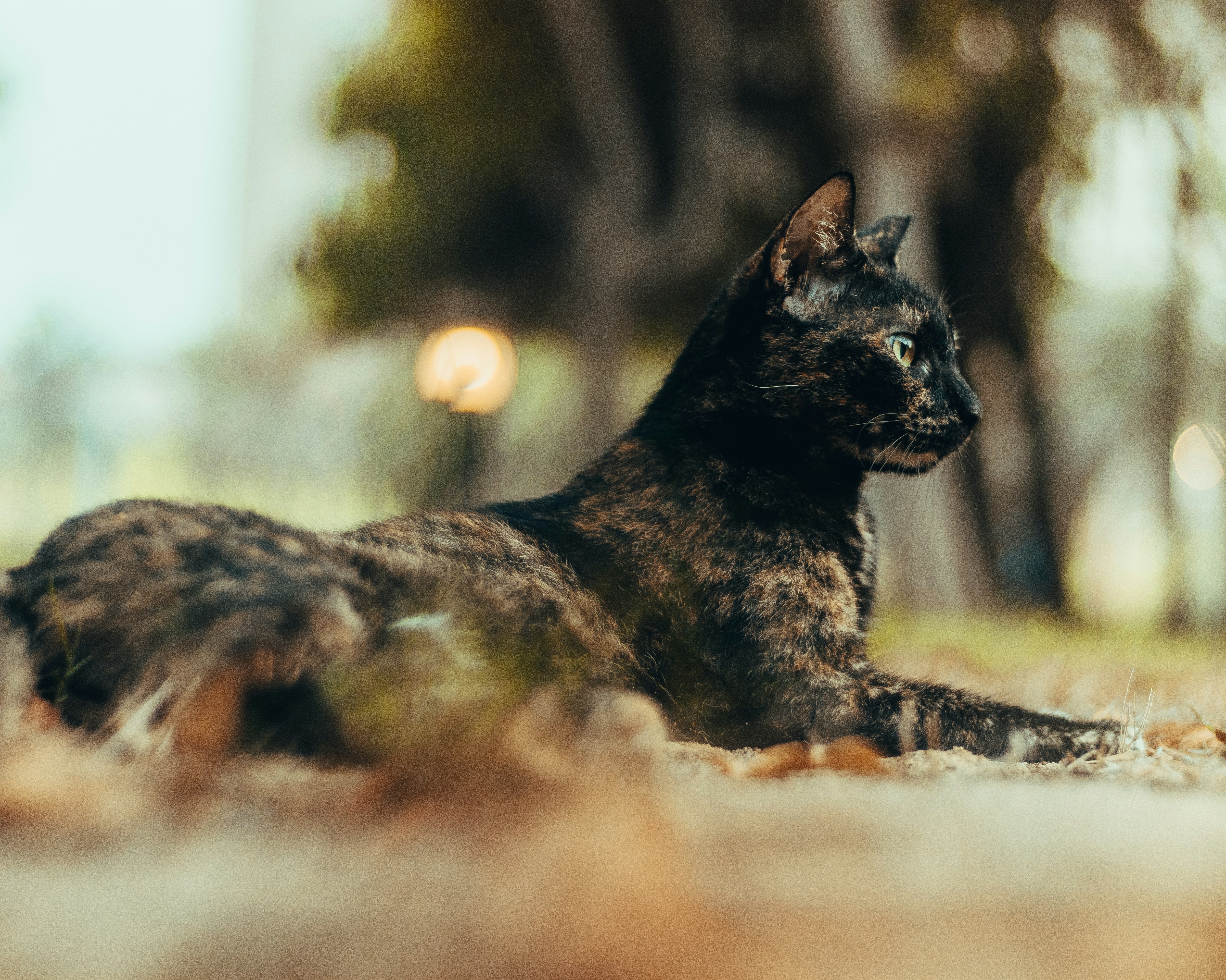 Photo by salaheregouane