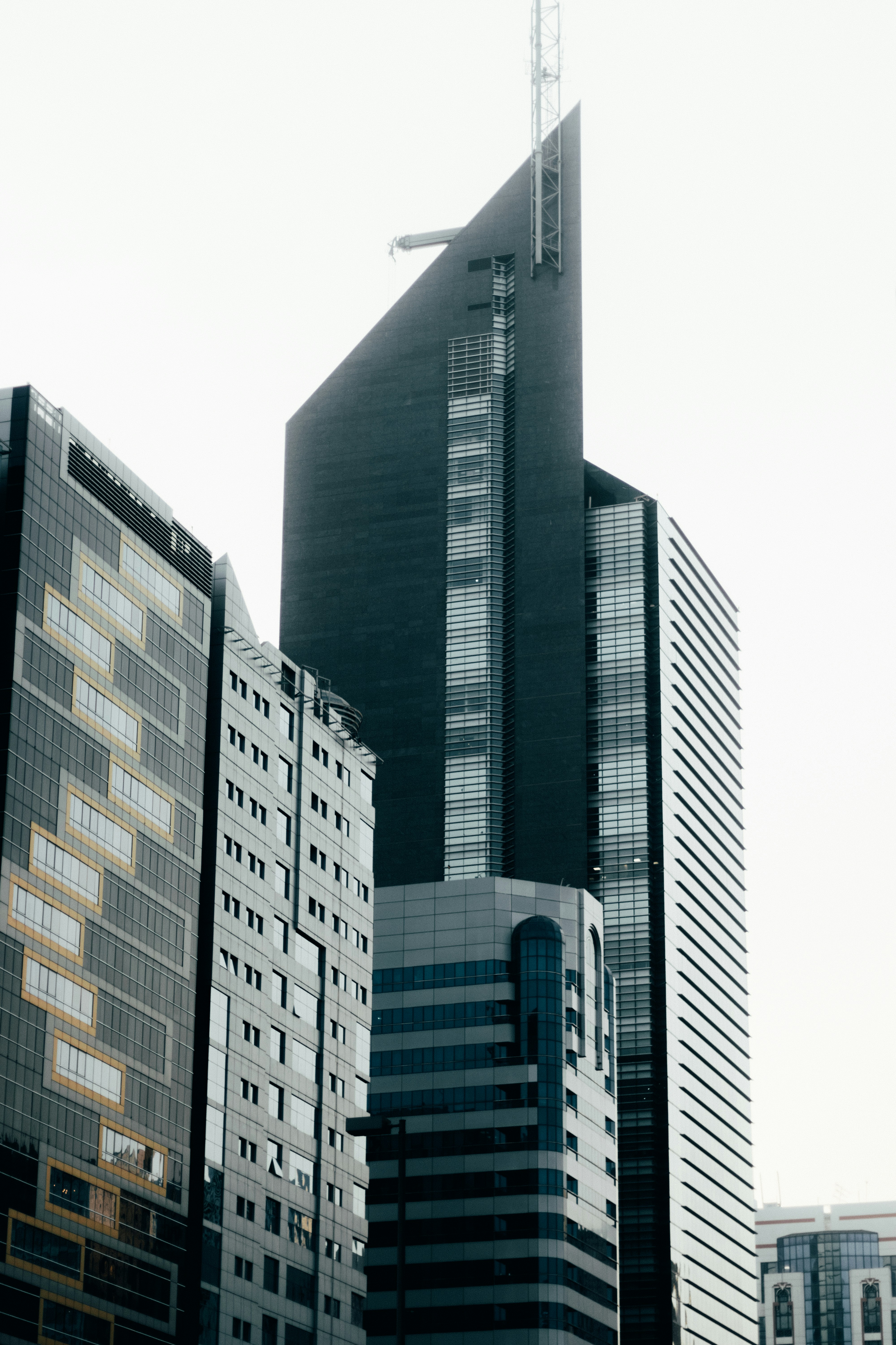 Photo by salaheregouane