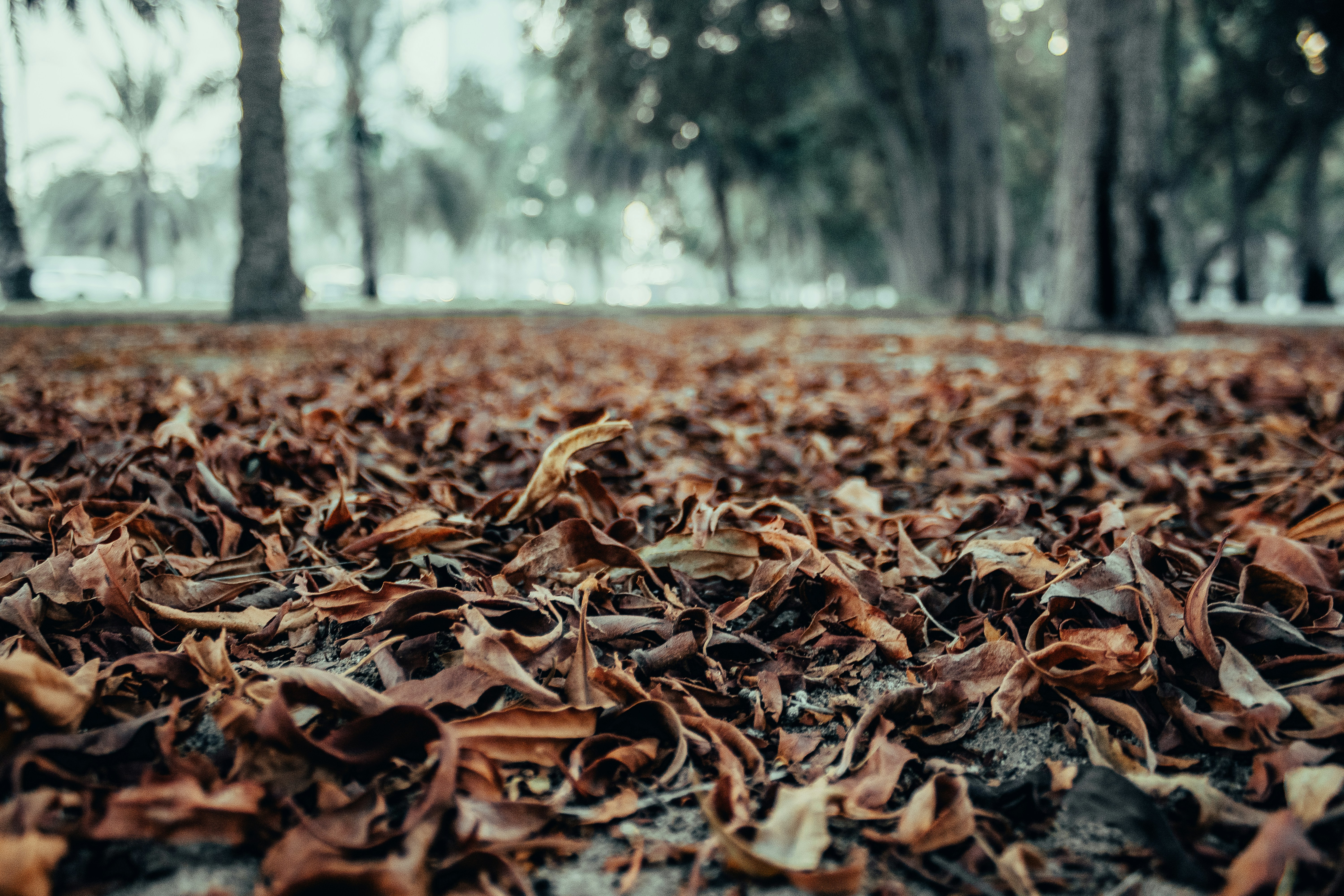 Photo by salaheregouane