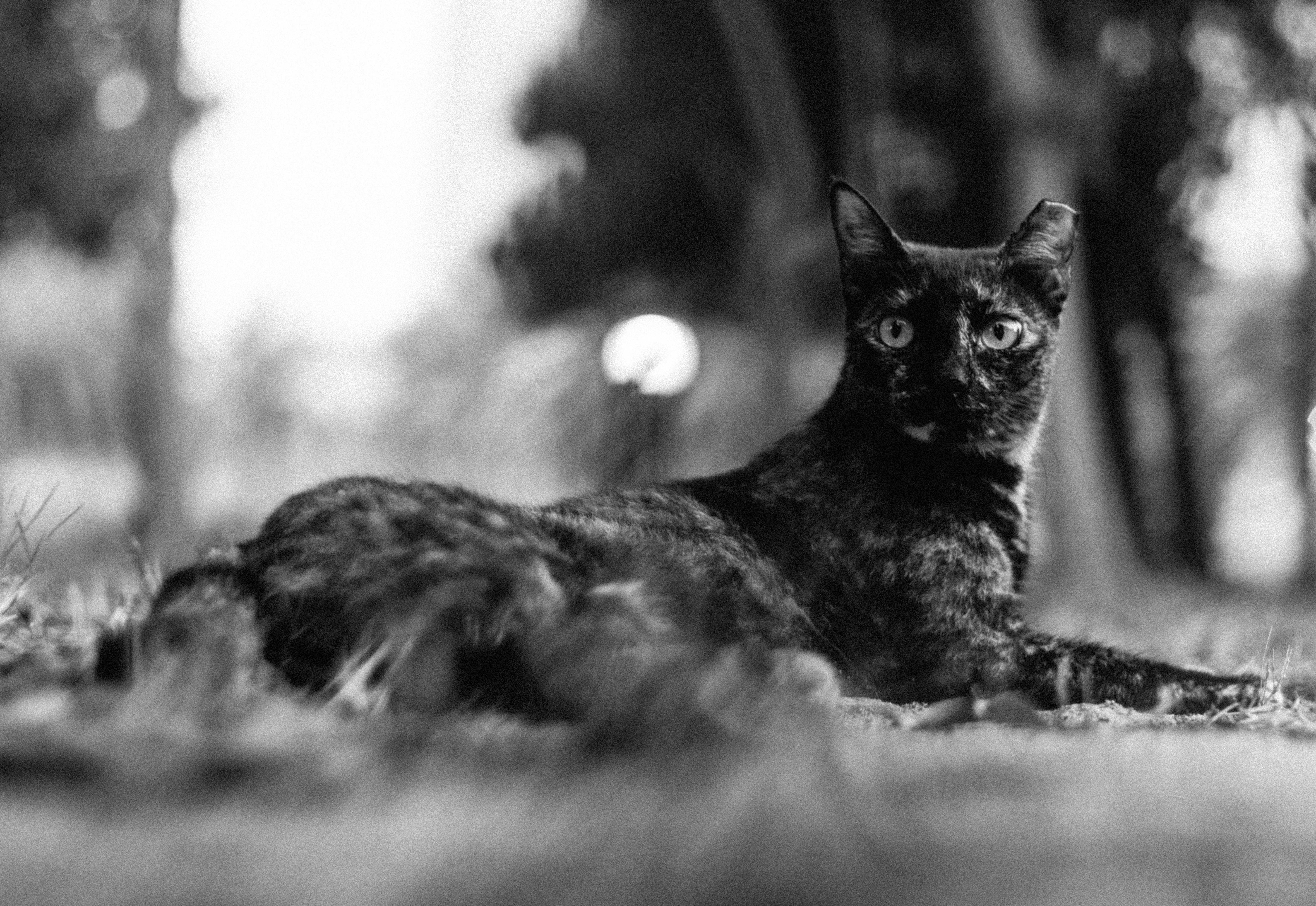 Photo by salaheregouane