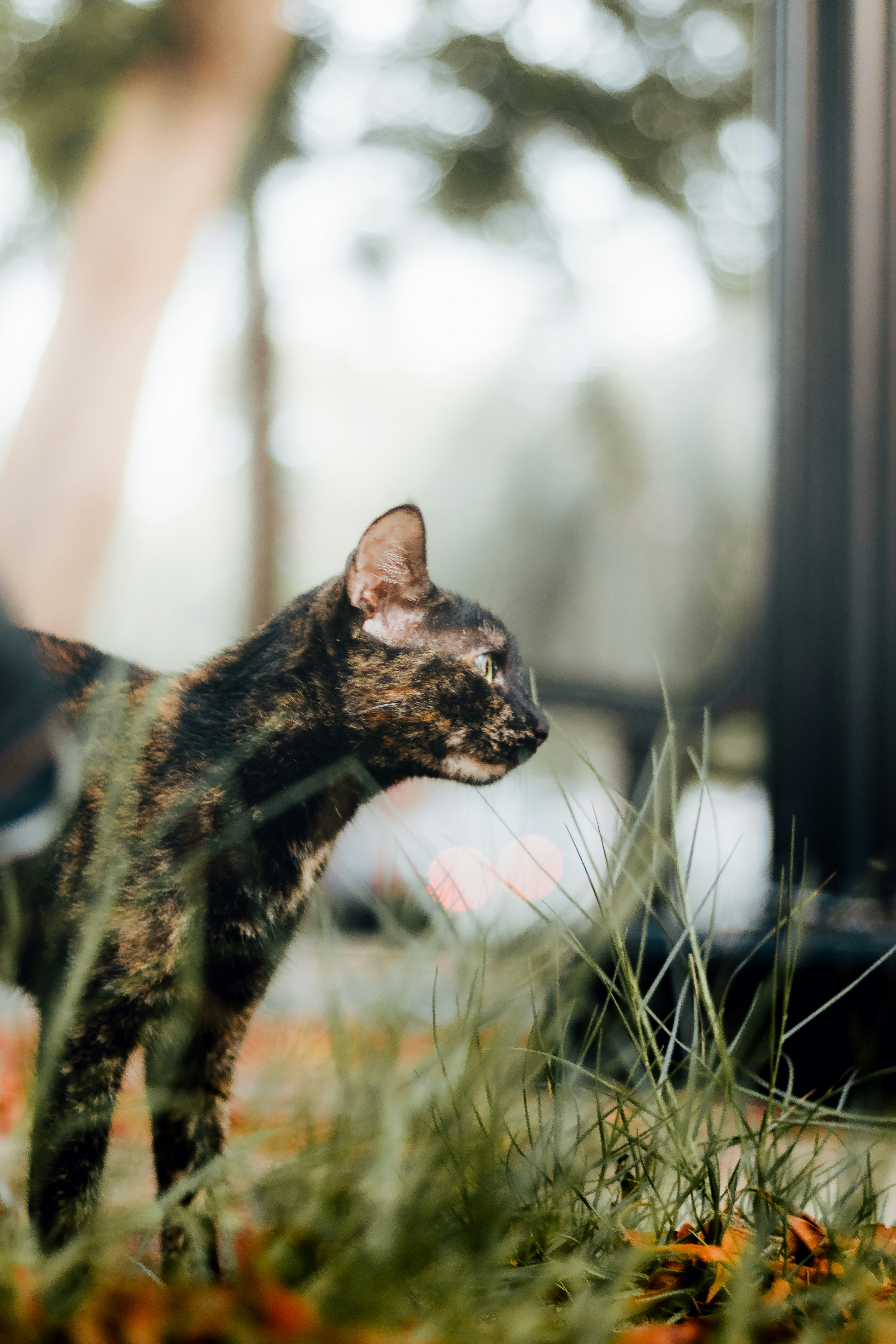 Photo by salaheregouane