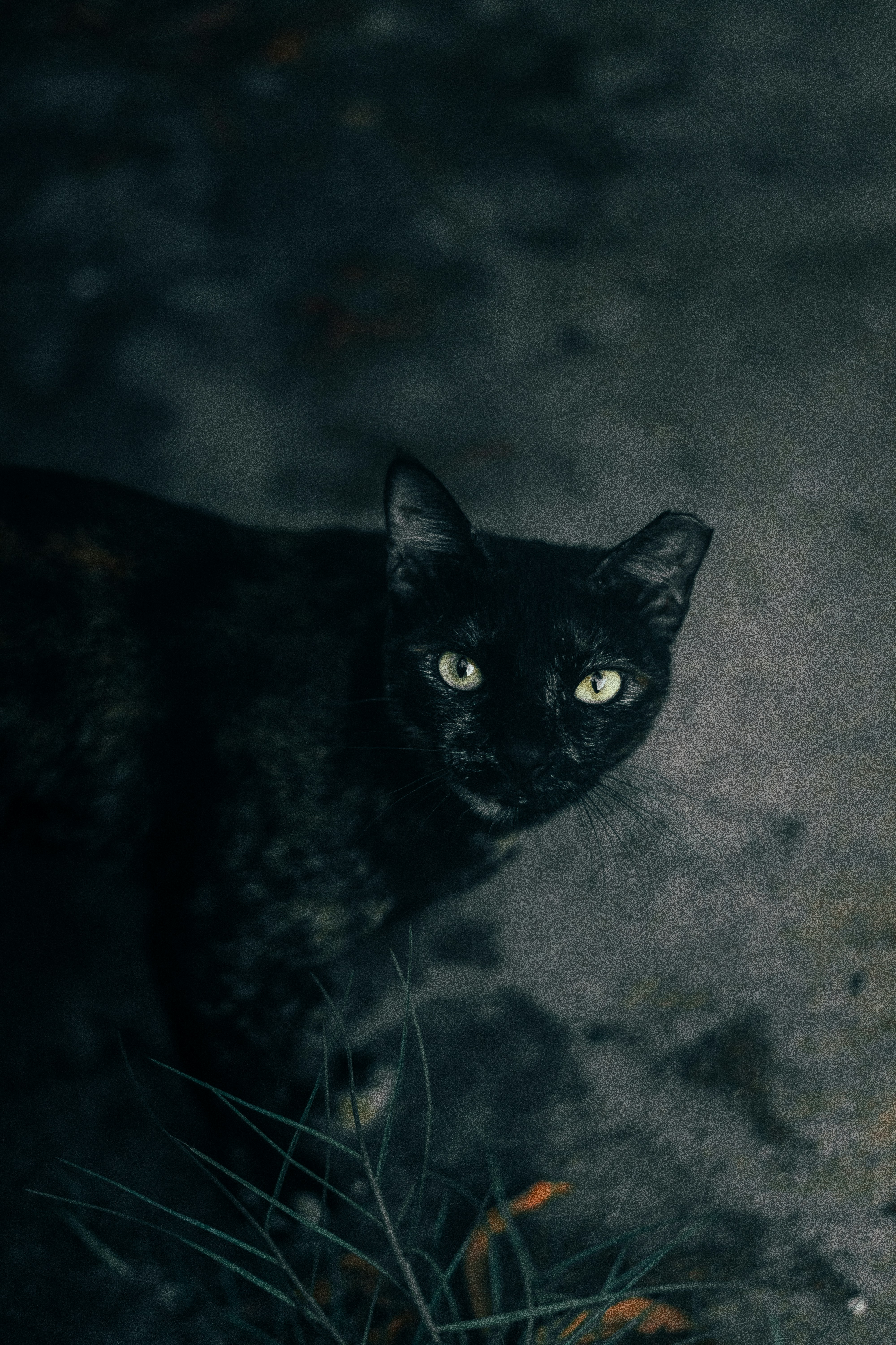 Photo by salaheregouane