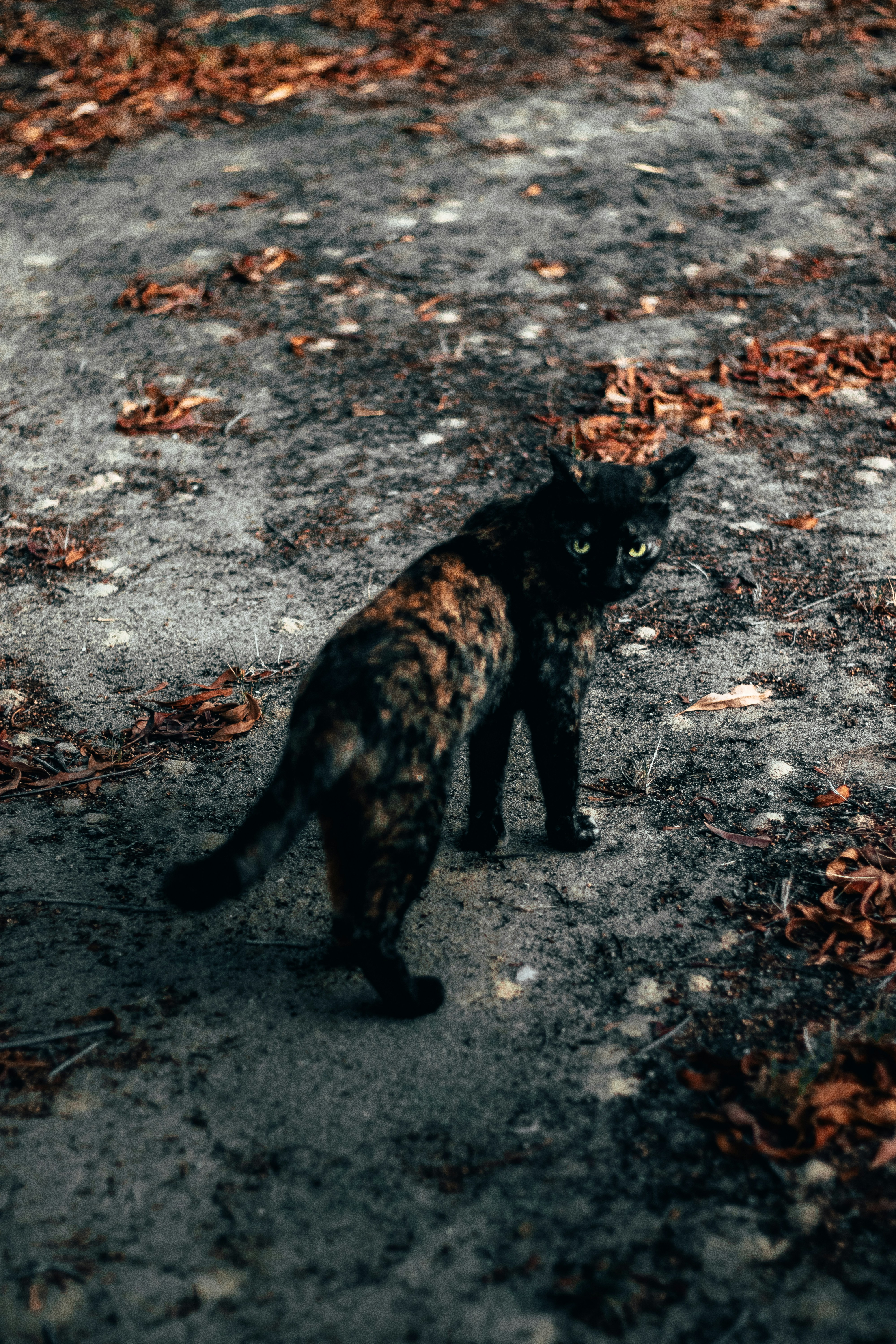 Photo by salaheregouane