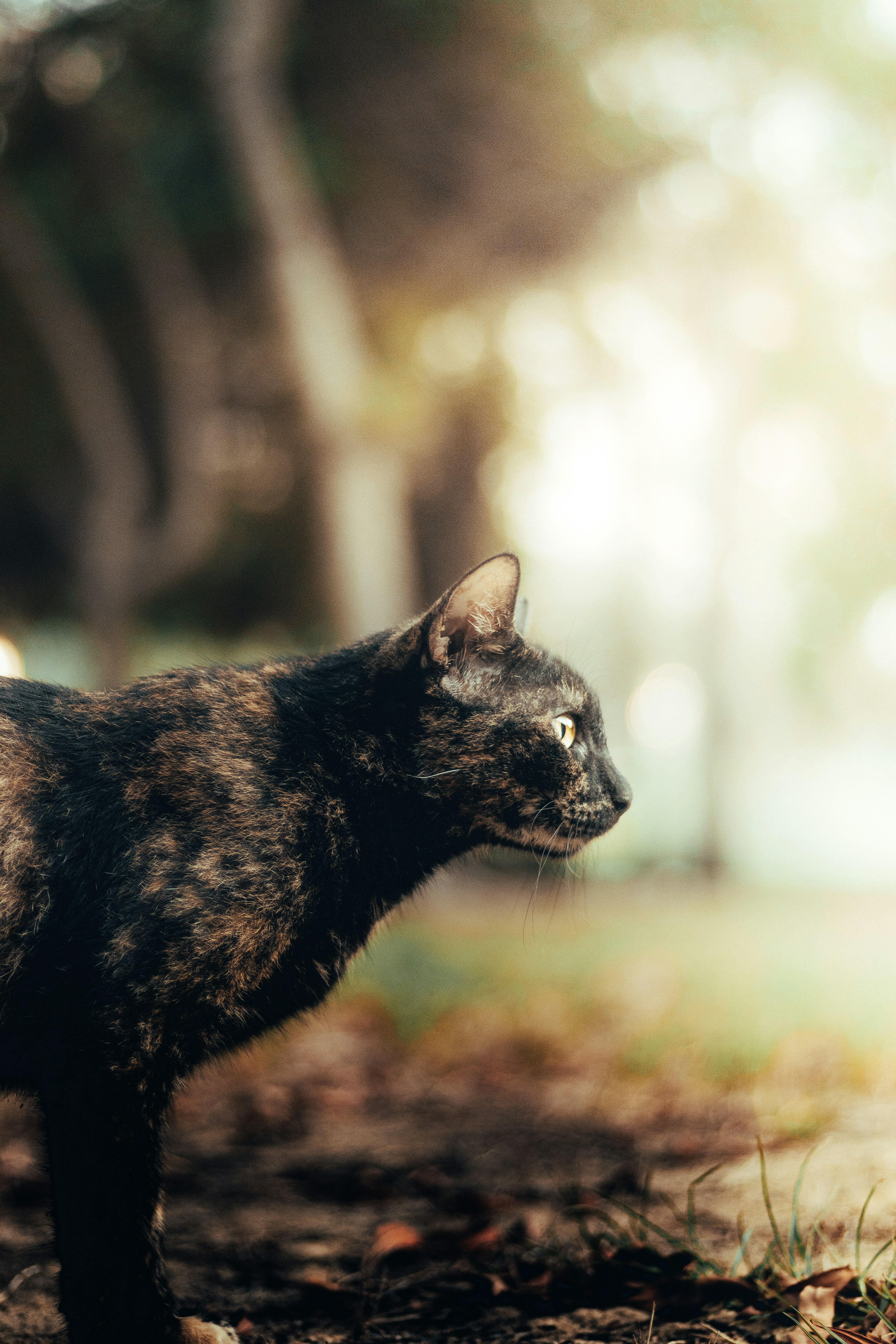 Photo by salaheregouane