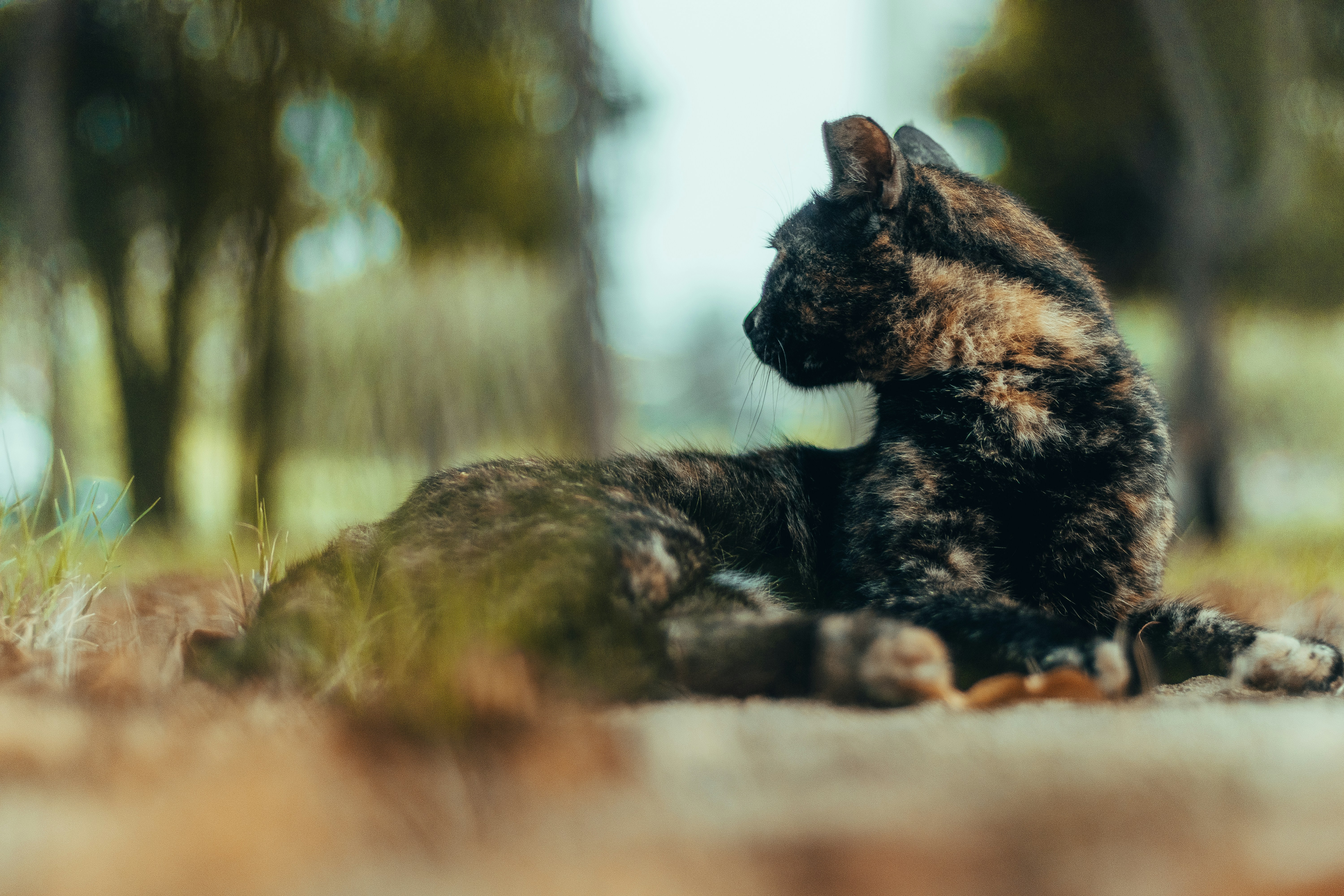 Photo by salaheregouane