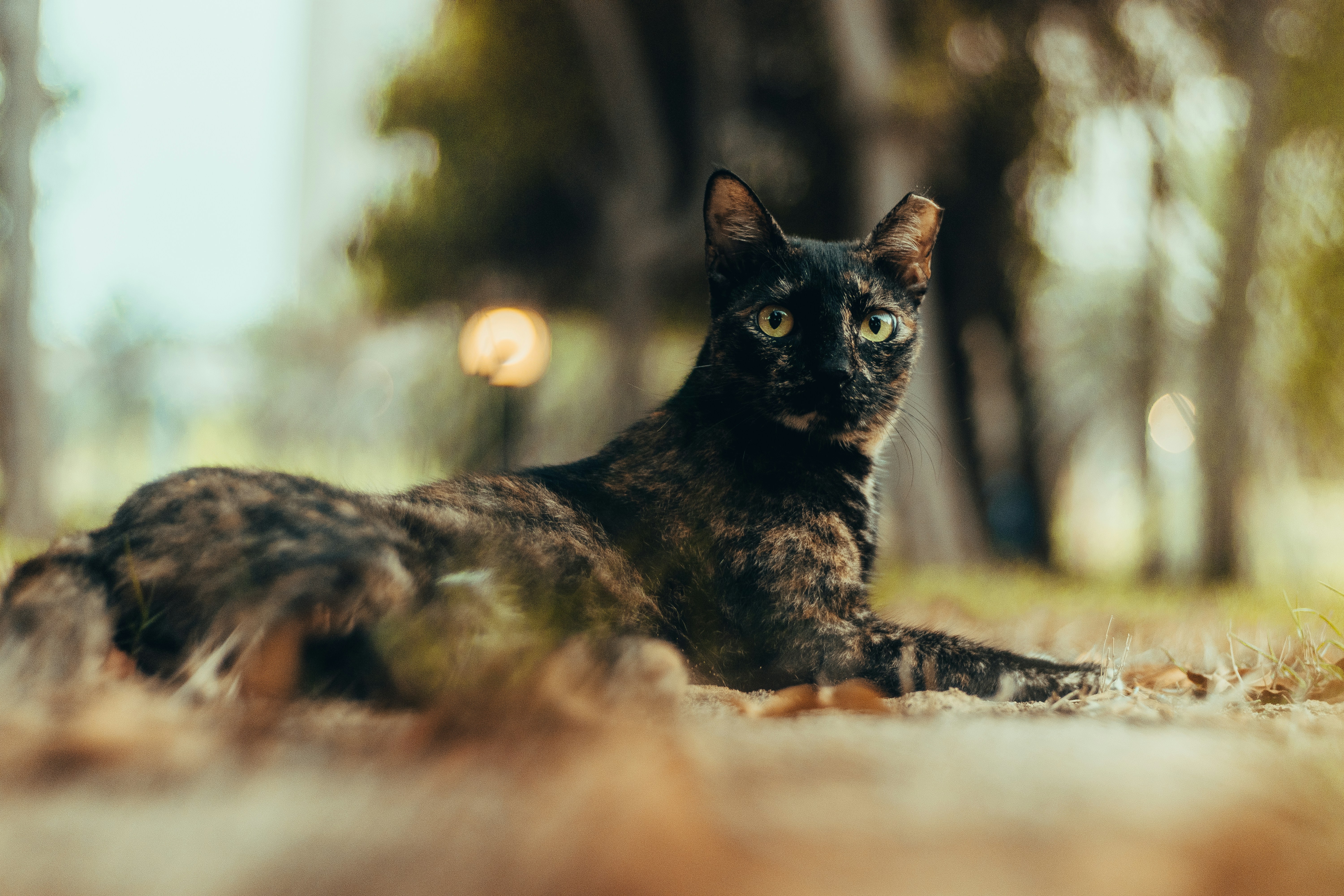 Photo by salaheregouane