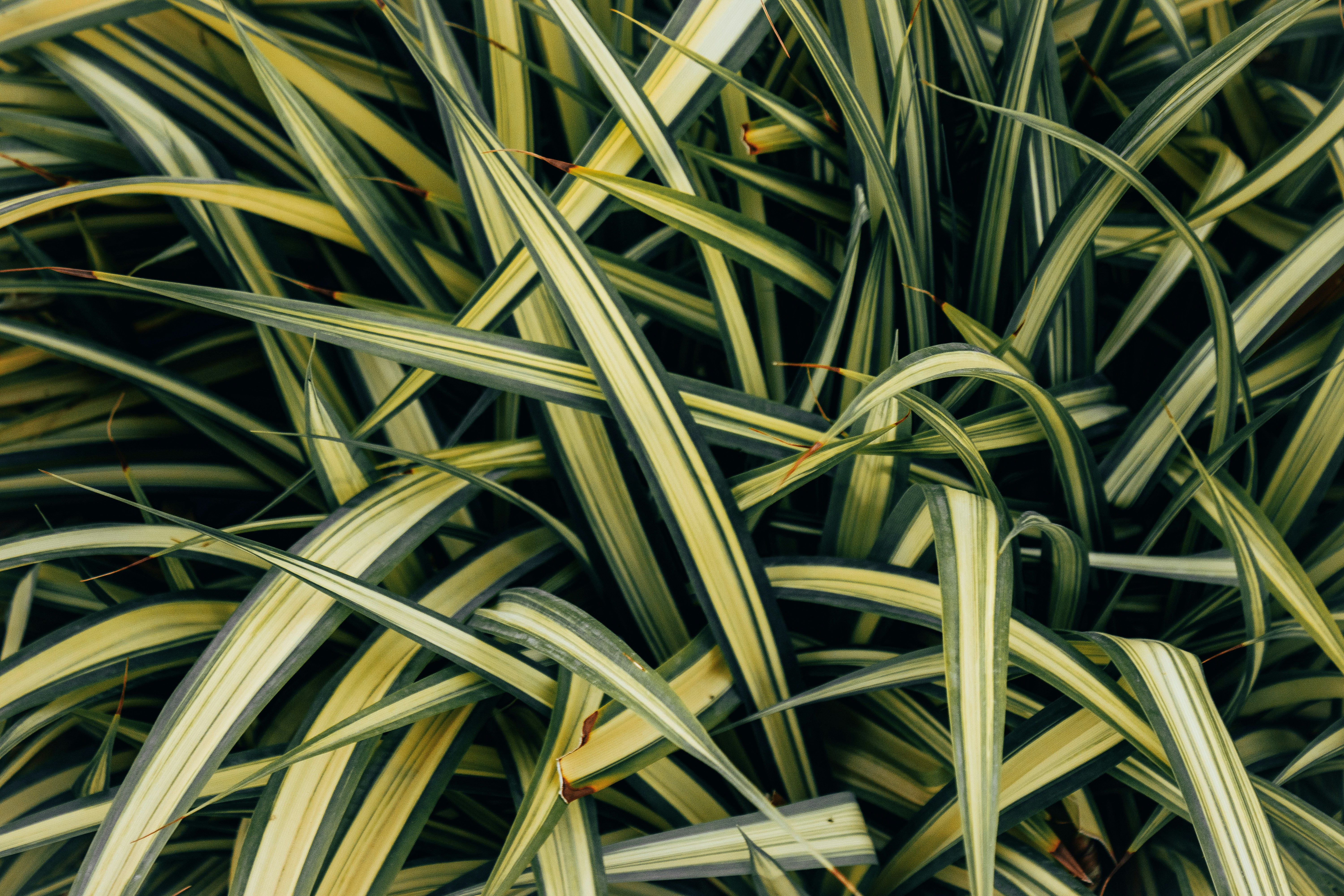 Photo by salaheregouane