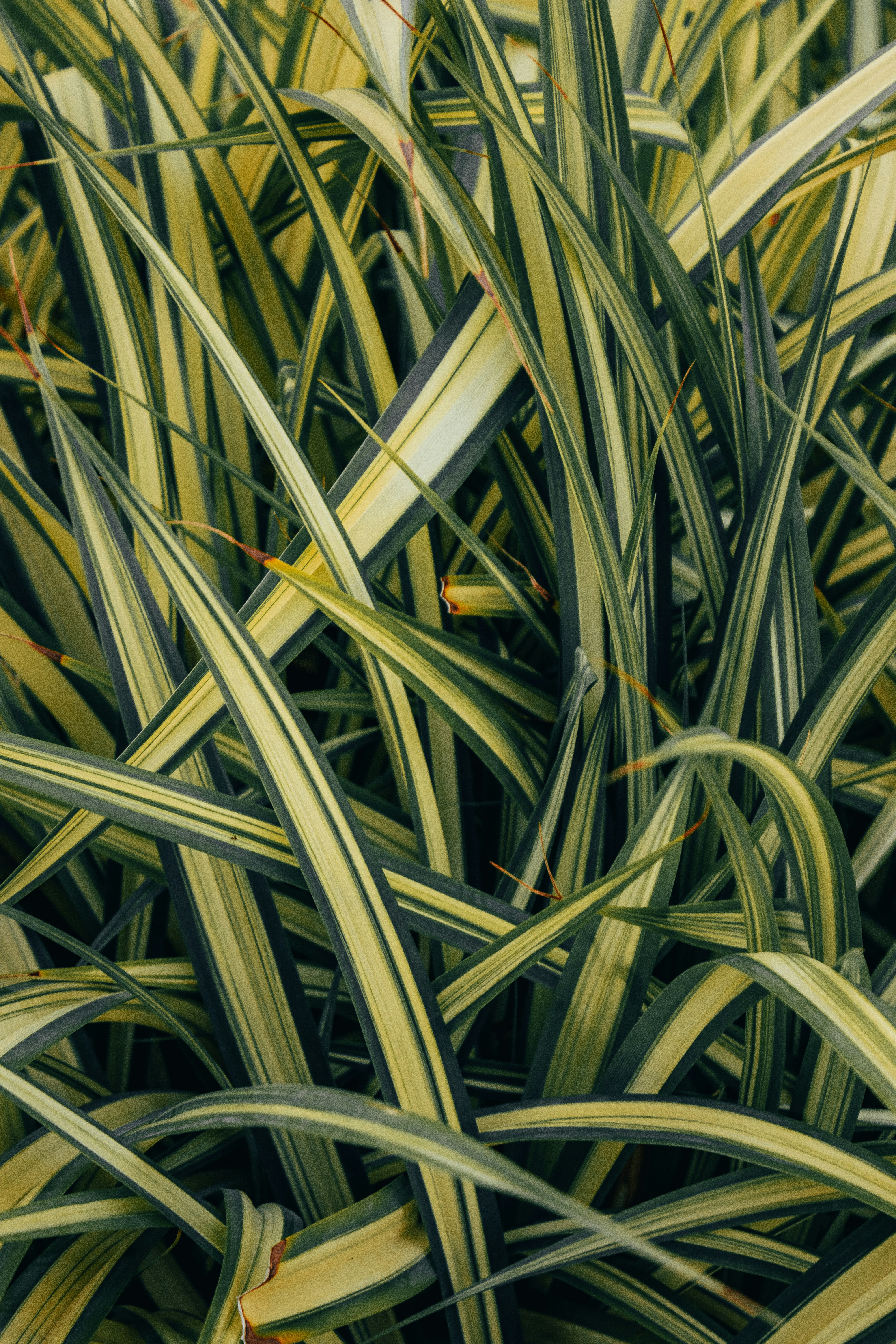 Photo by salaheregouane