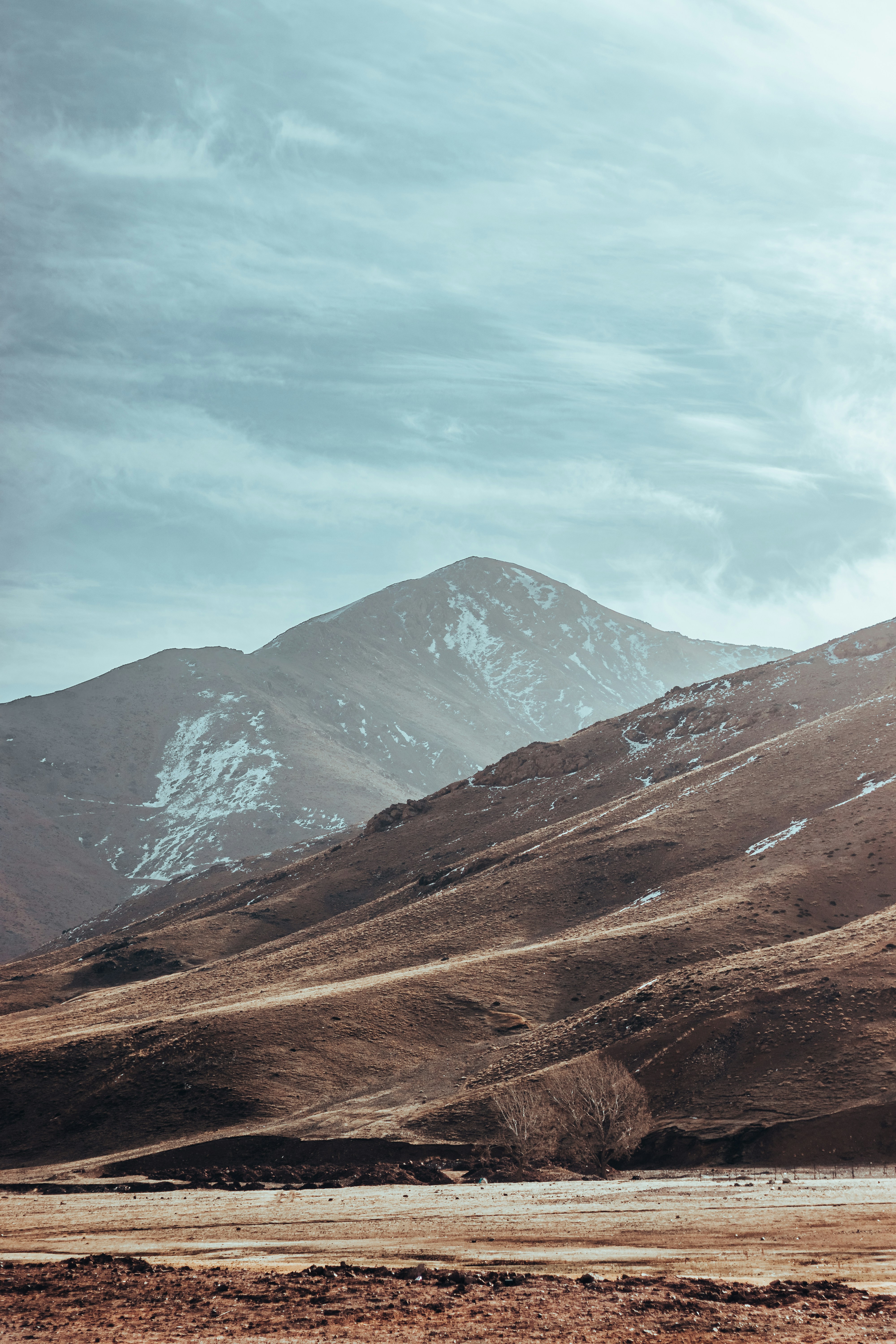 Photo by salaheregouane