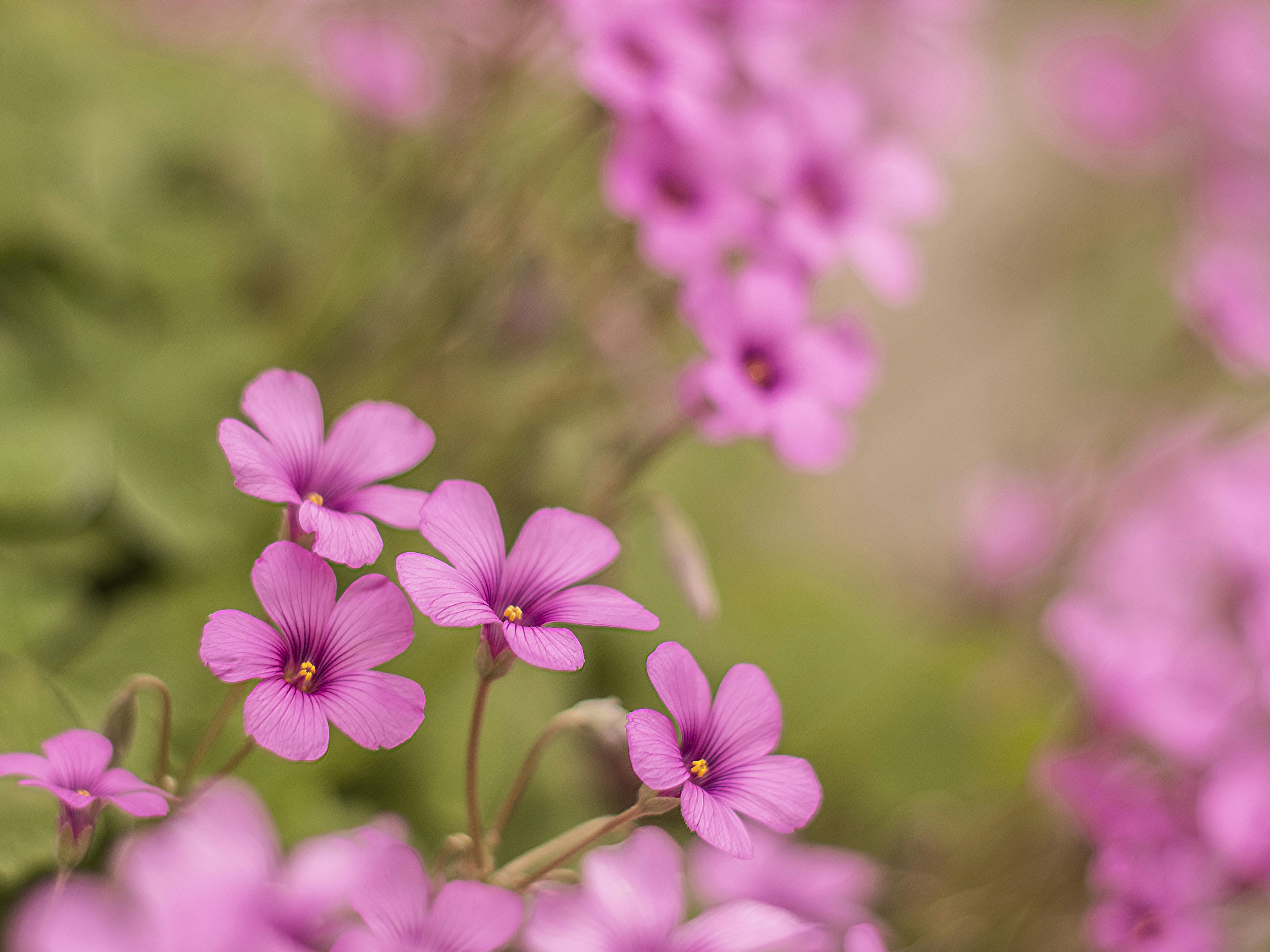 Photo by lyricalcode