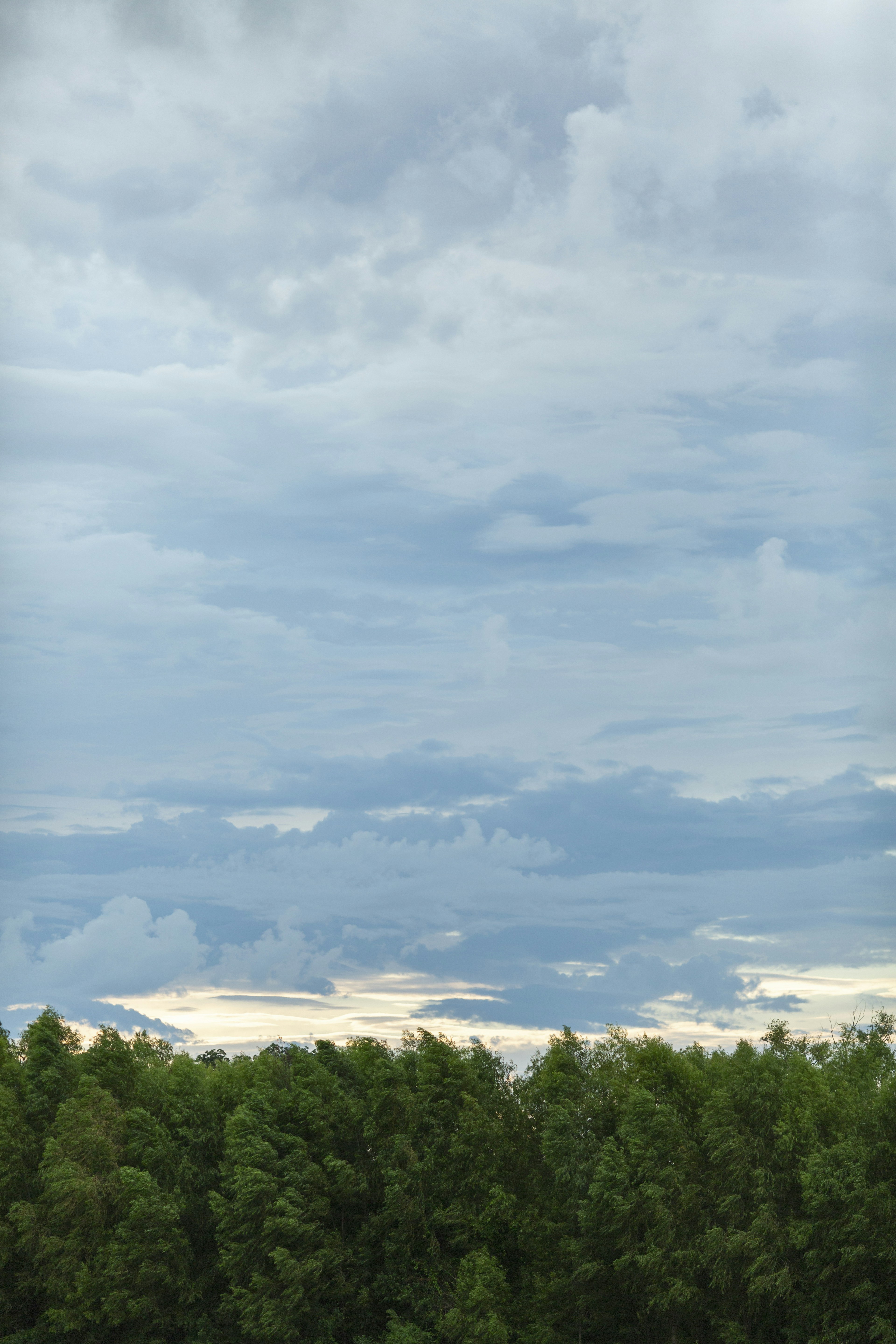 madura landscape, wallpaper, Perang Pamekasan: Sejarah, Latar Belakang, dan Peran Pesantren 5