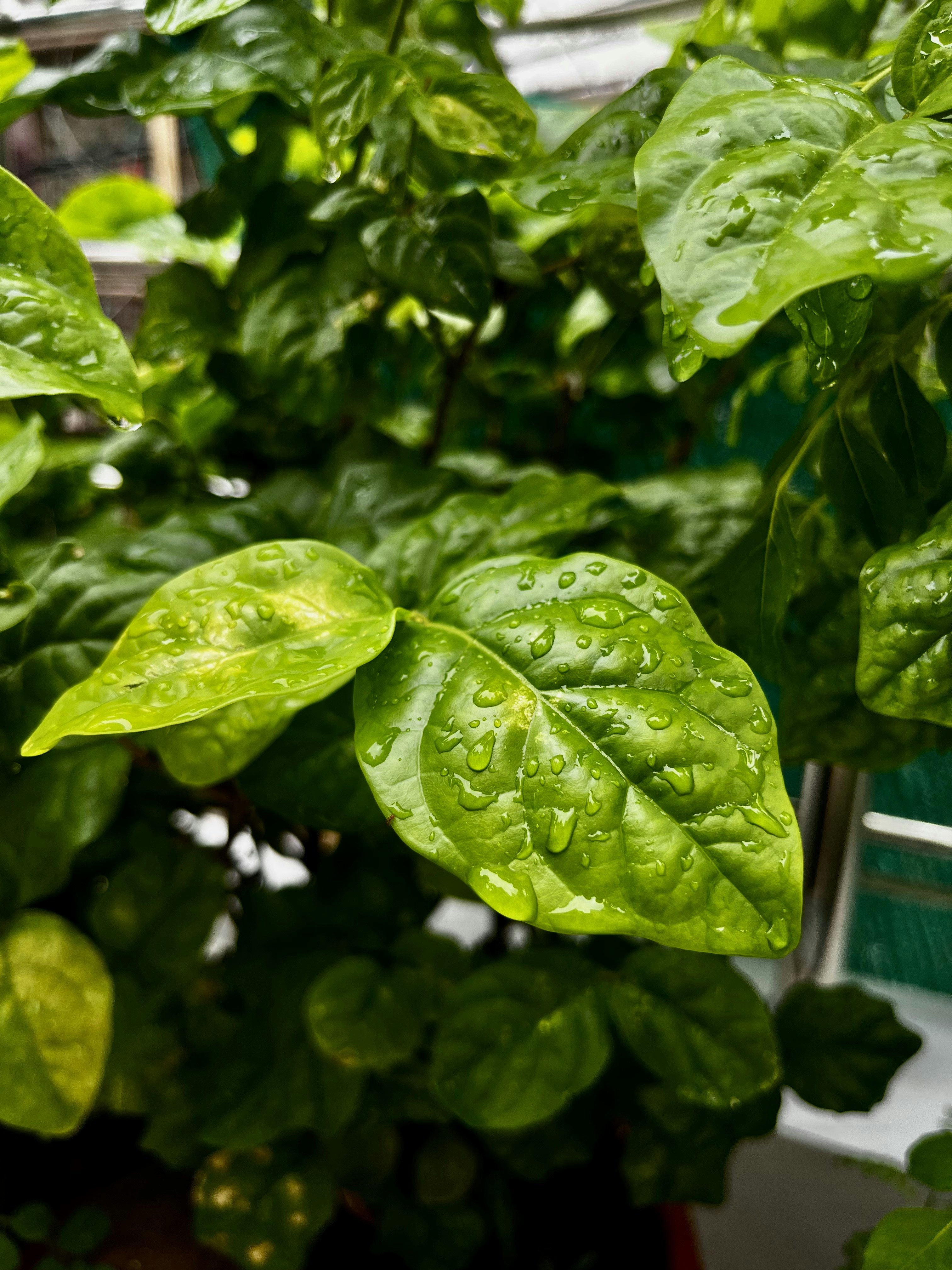 Photo by johnnysdesignlab