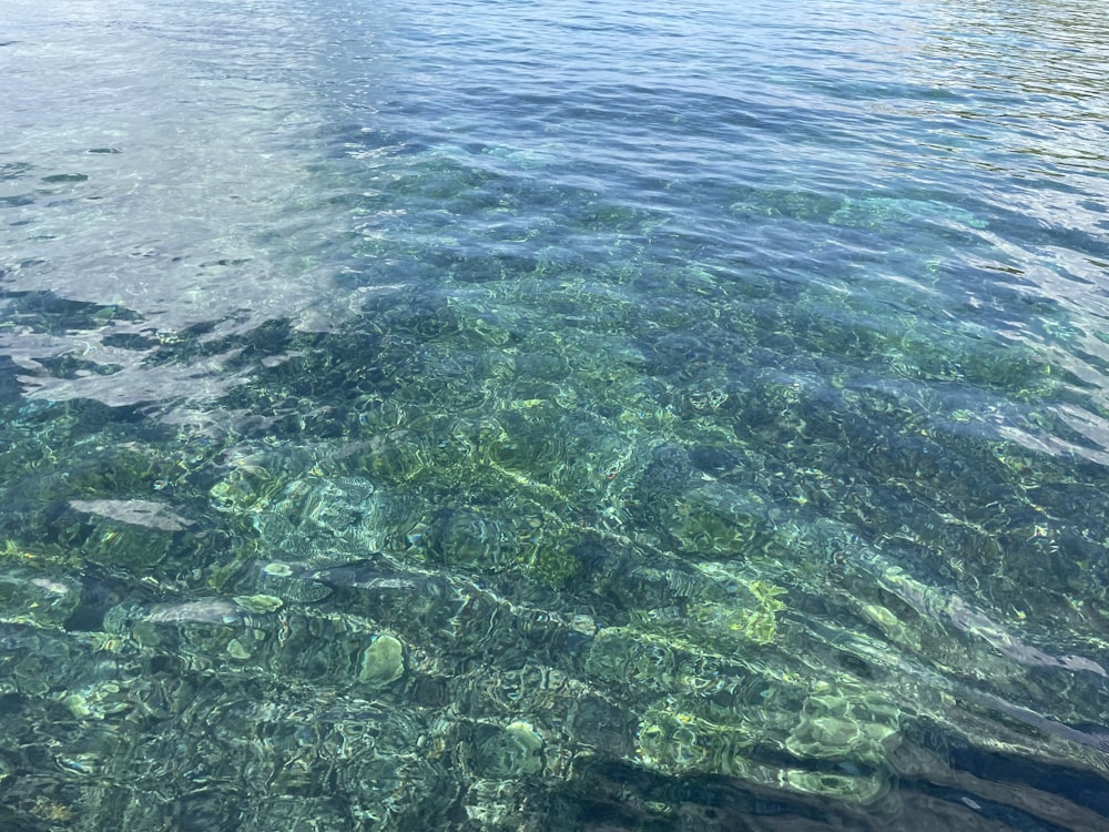 clear water with rocks