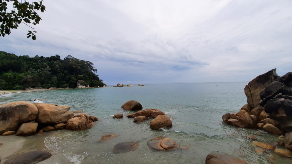 a rocky beach with trees and water