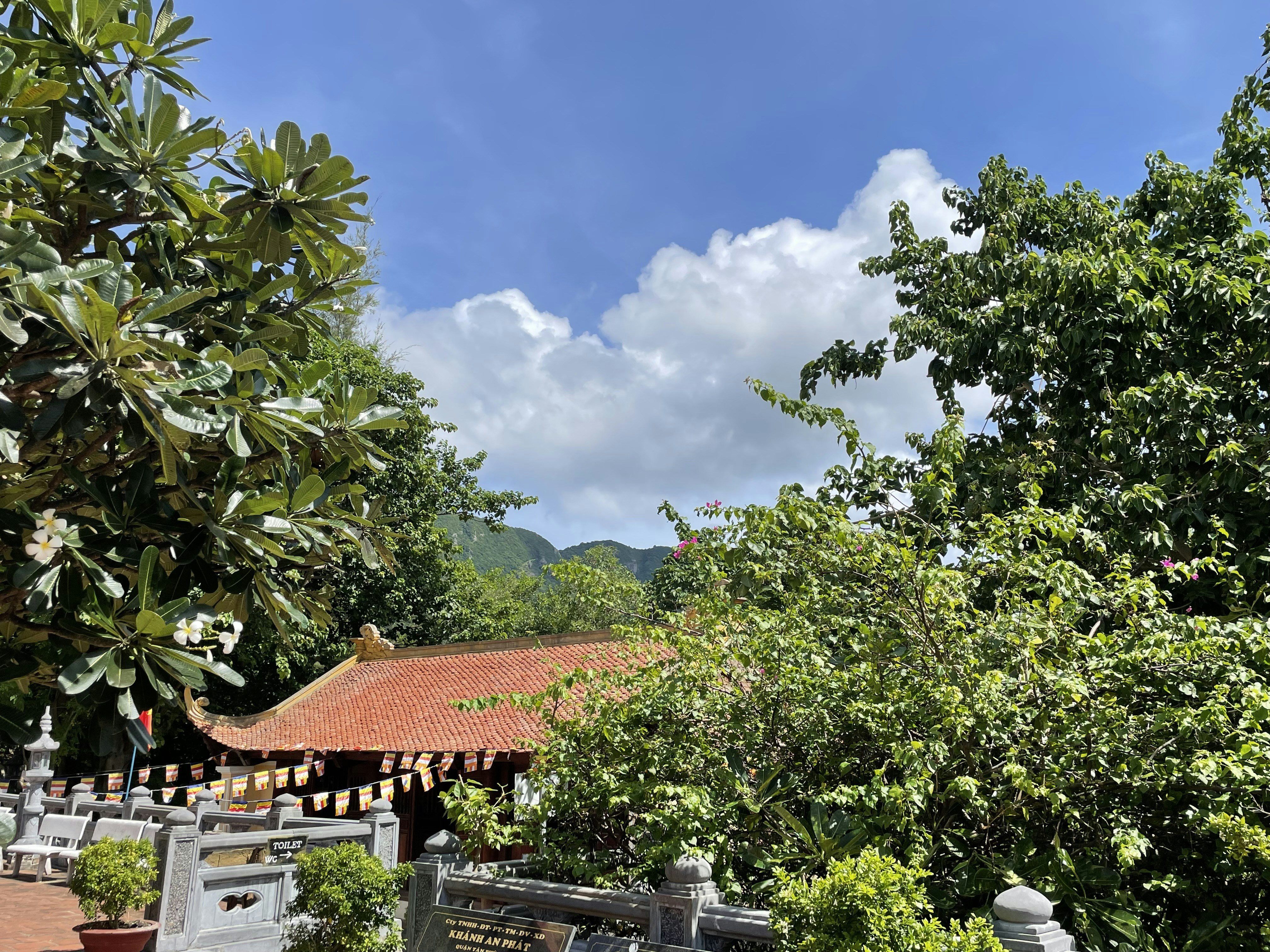 a house with trees around it