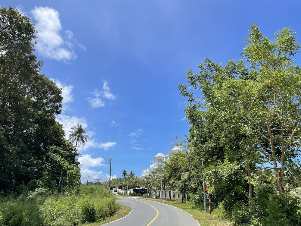 a road with trees on the side