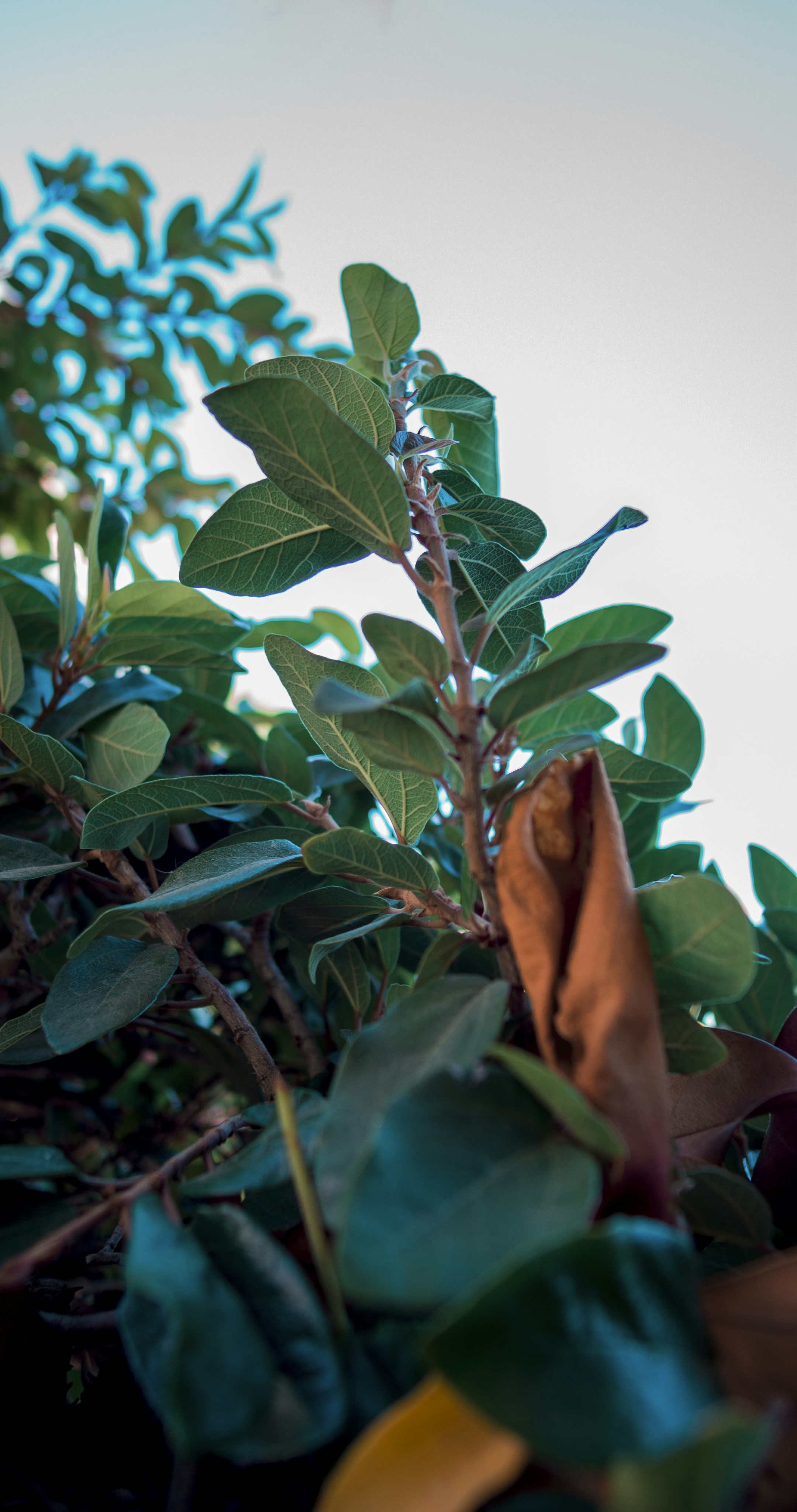 Photo by _nickwright_