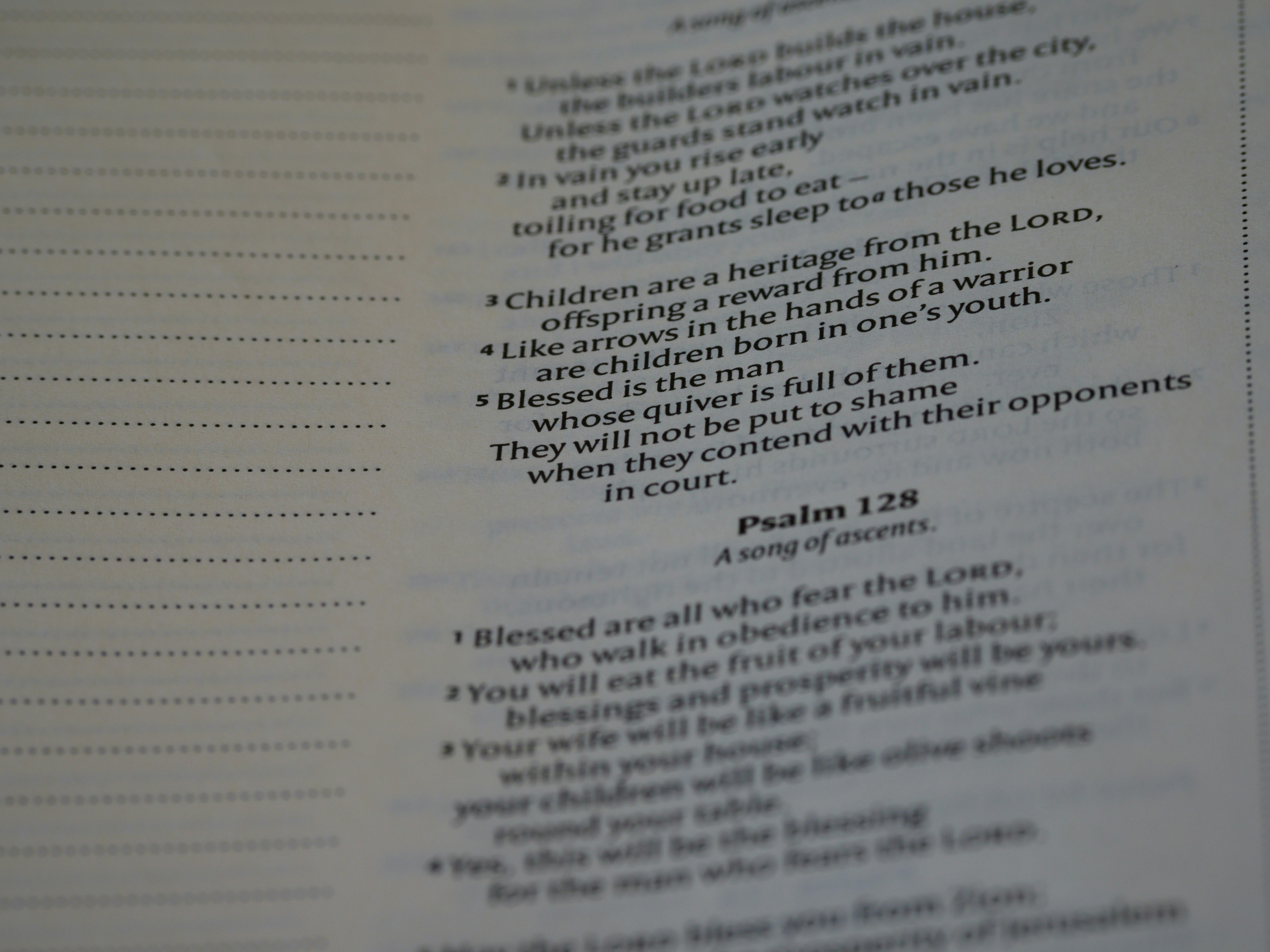 Photo by brett_jordan