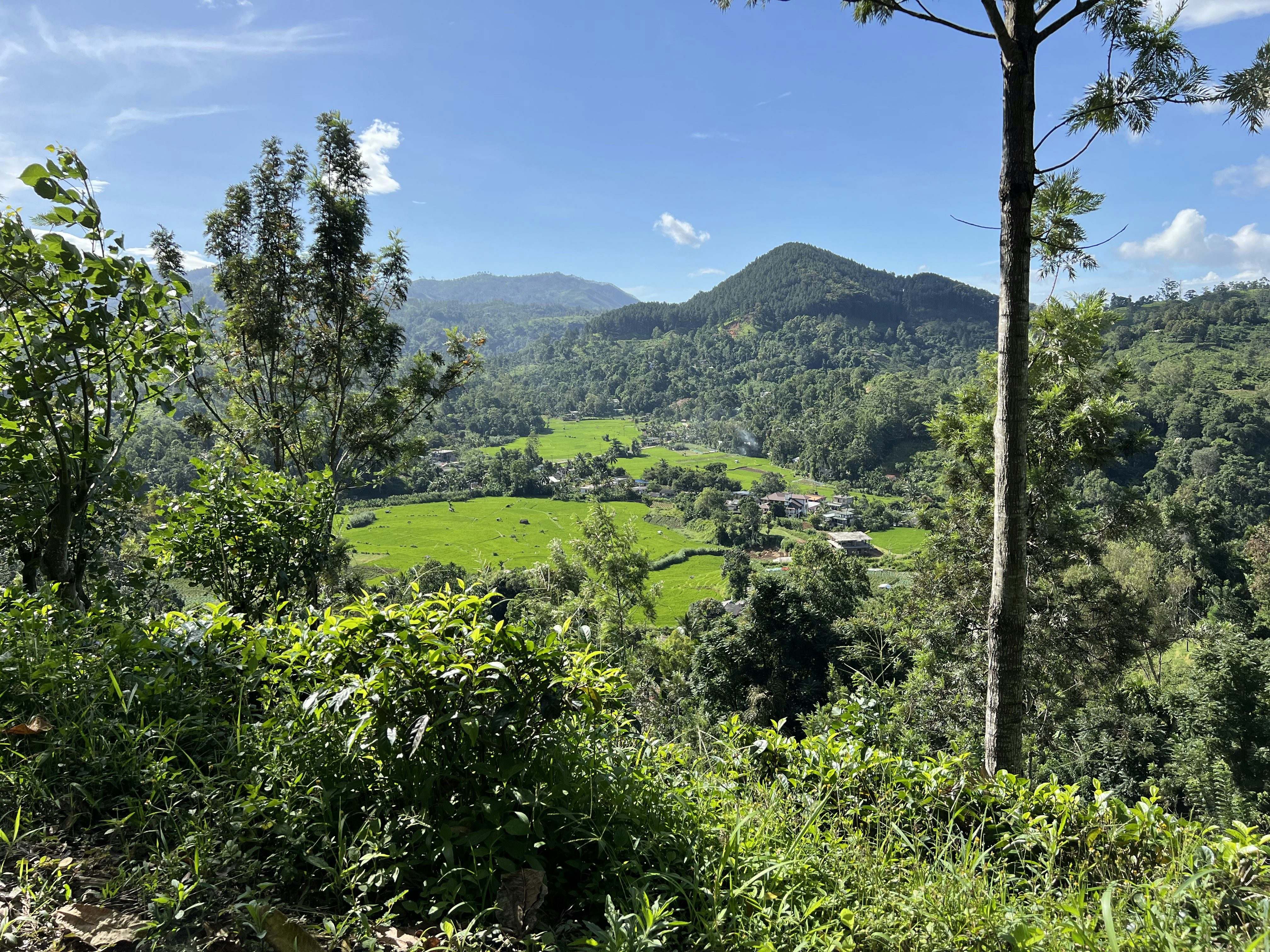 Photo by datingscout