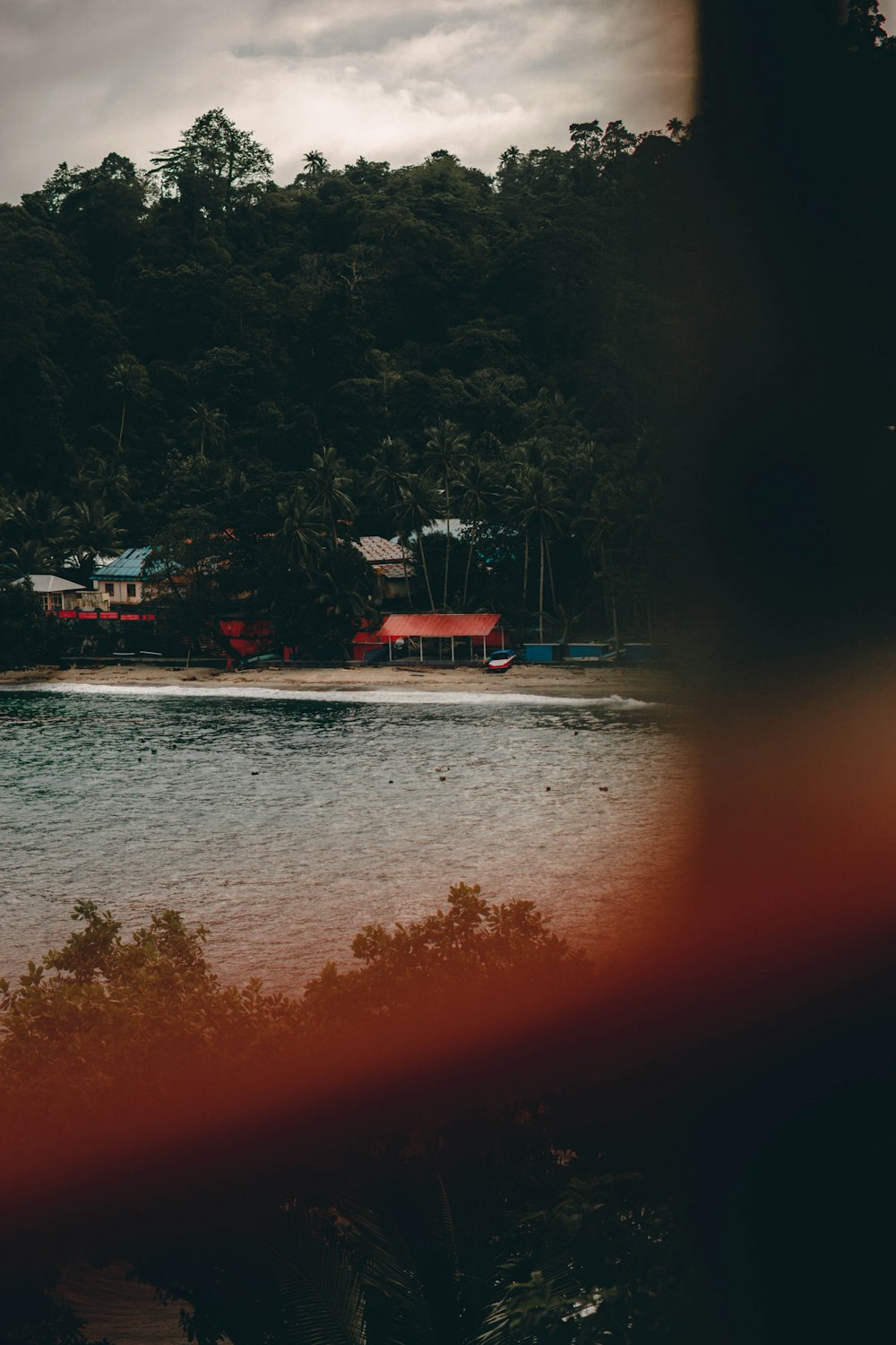 a body of water with houses and trees around it