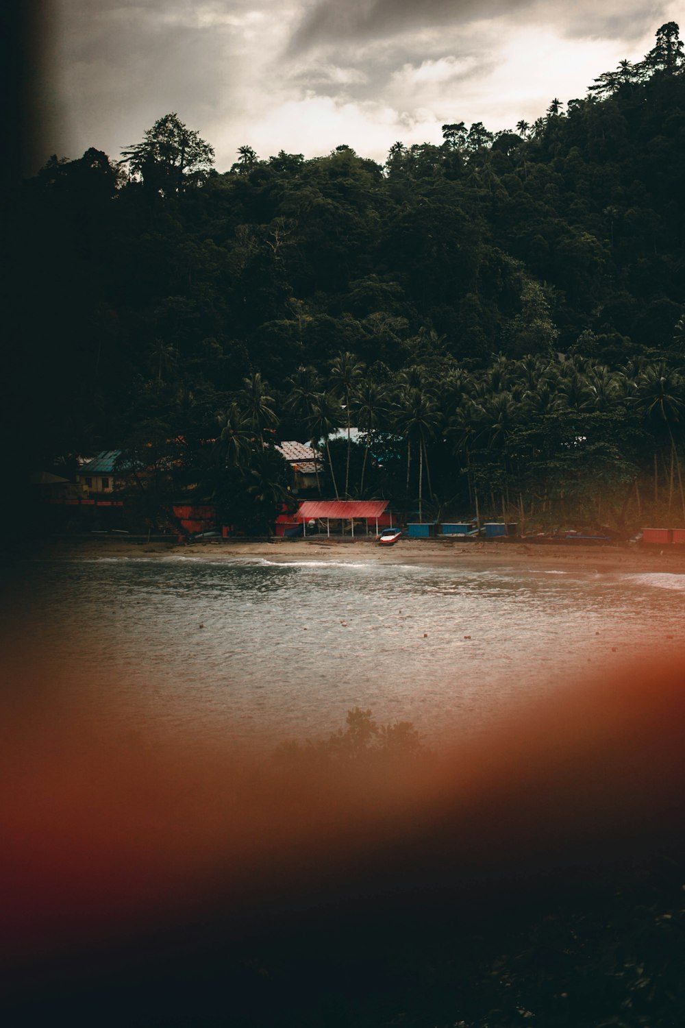 a lake with trees around it