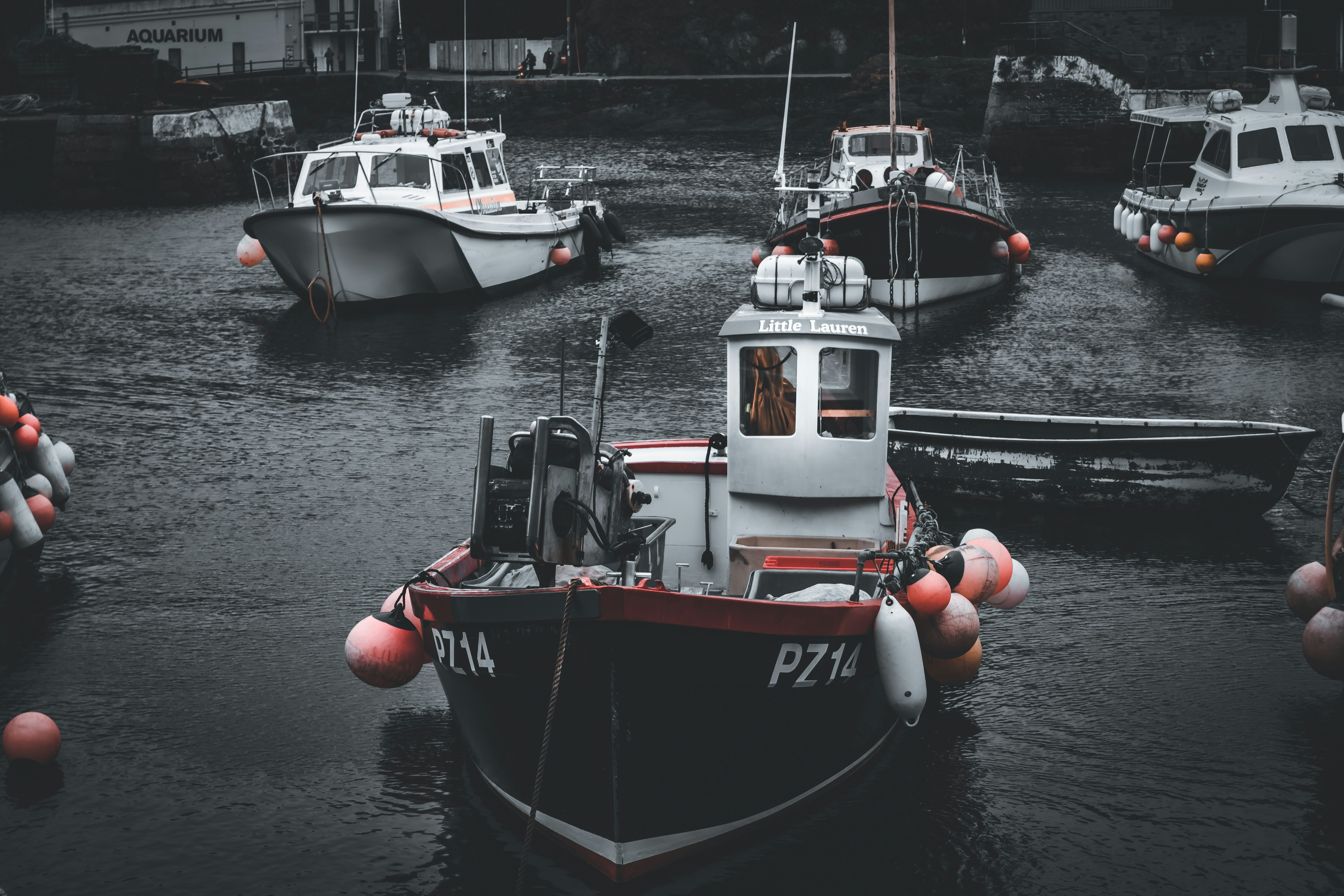 Photo by jdphoto2000