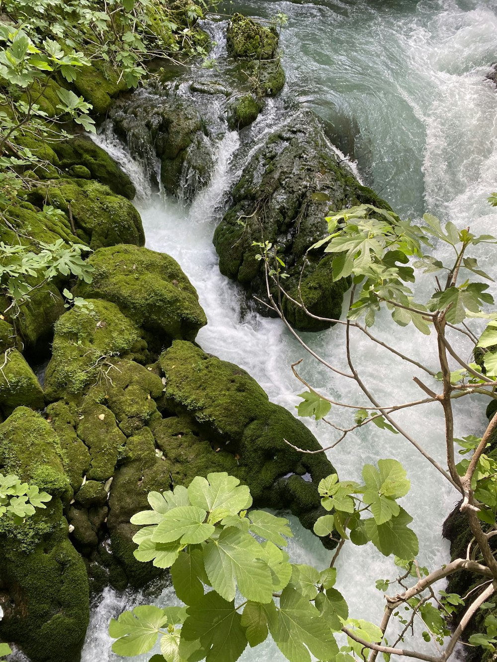 a waterfall with moss on it