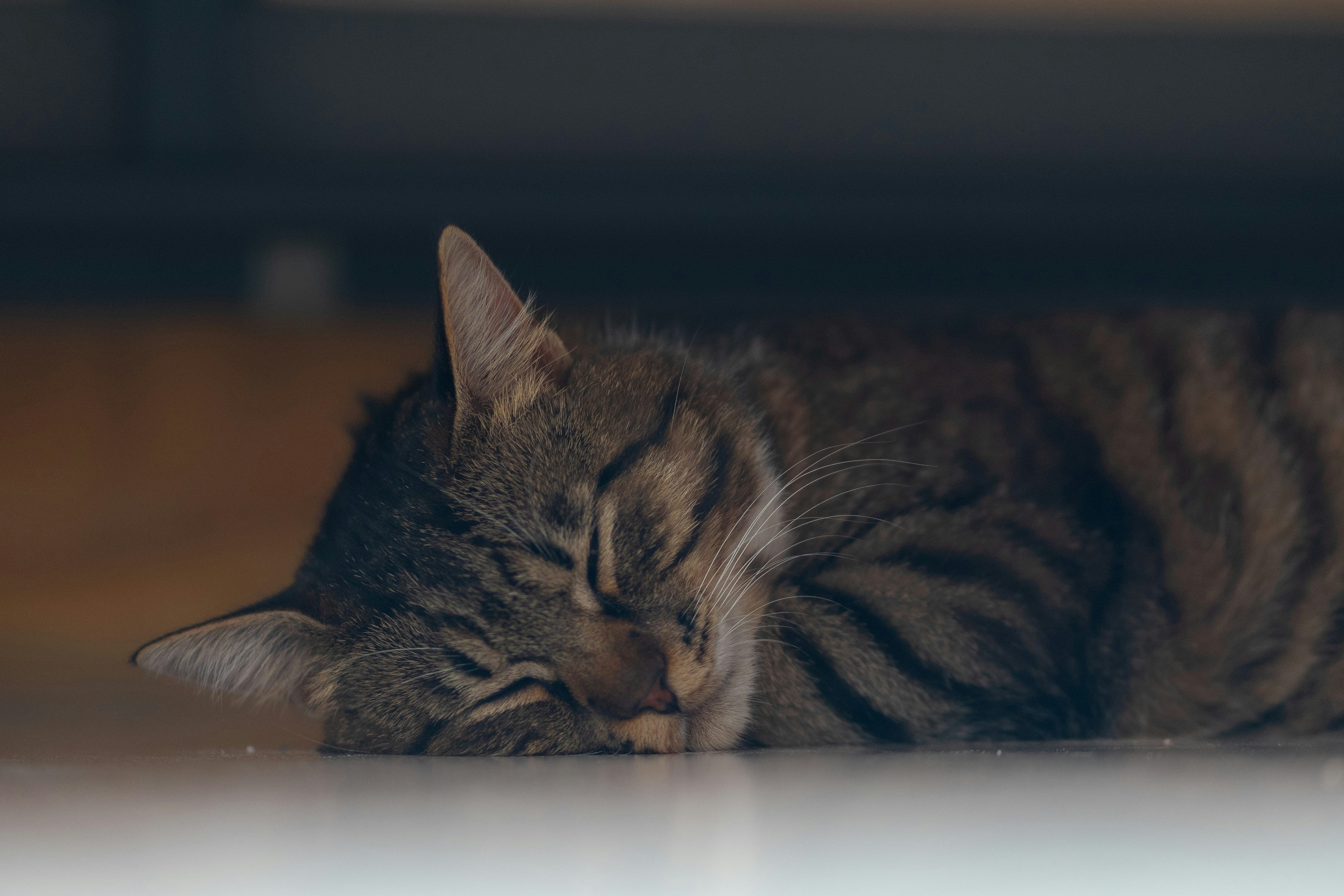 Photo by eugenechystiakov