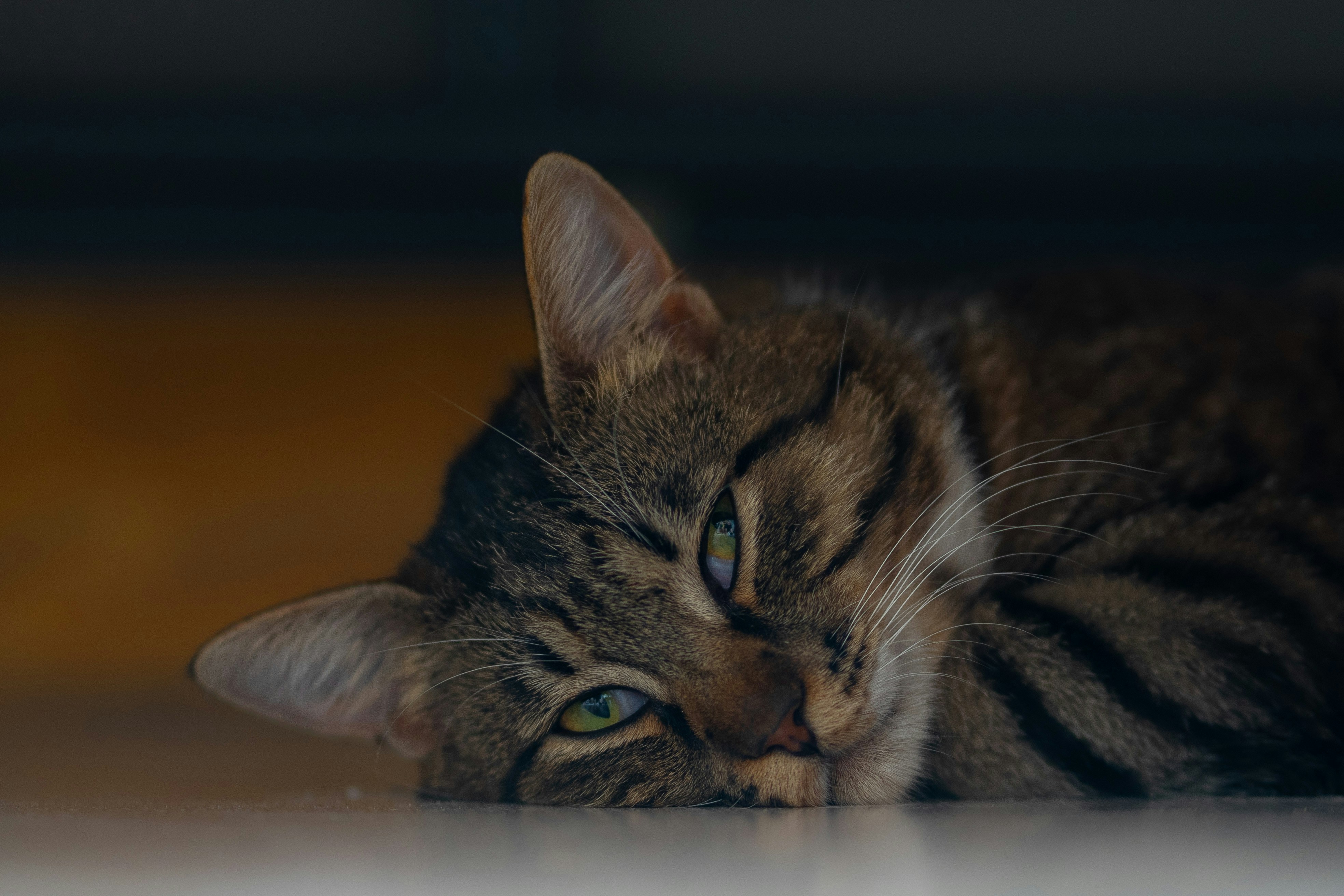 Photo by eugenechystiakov