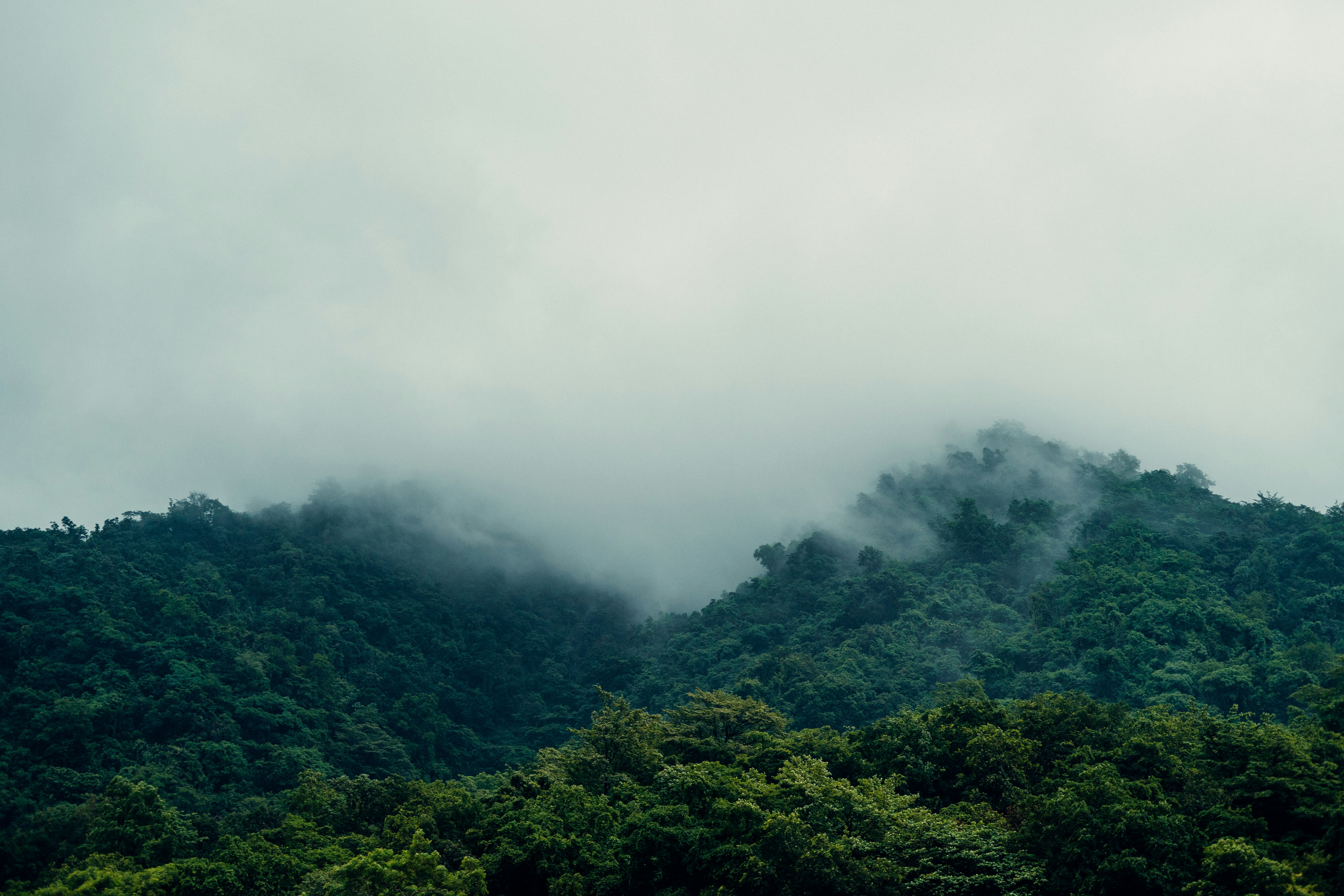 Photo by viditgoswami